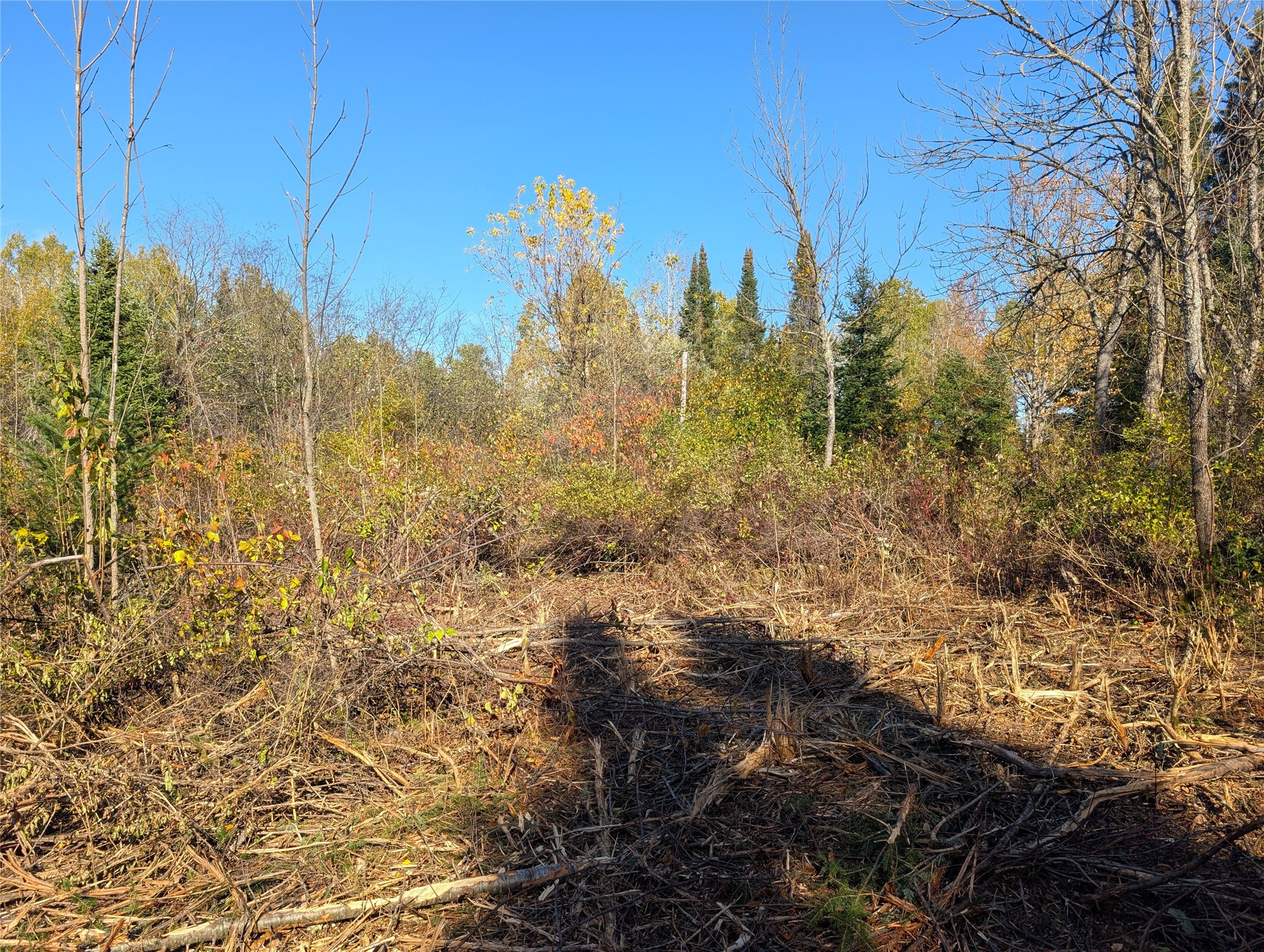 00 Broadway Road Property Photo 10