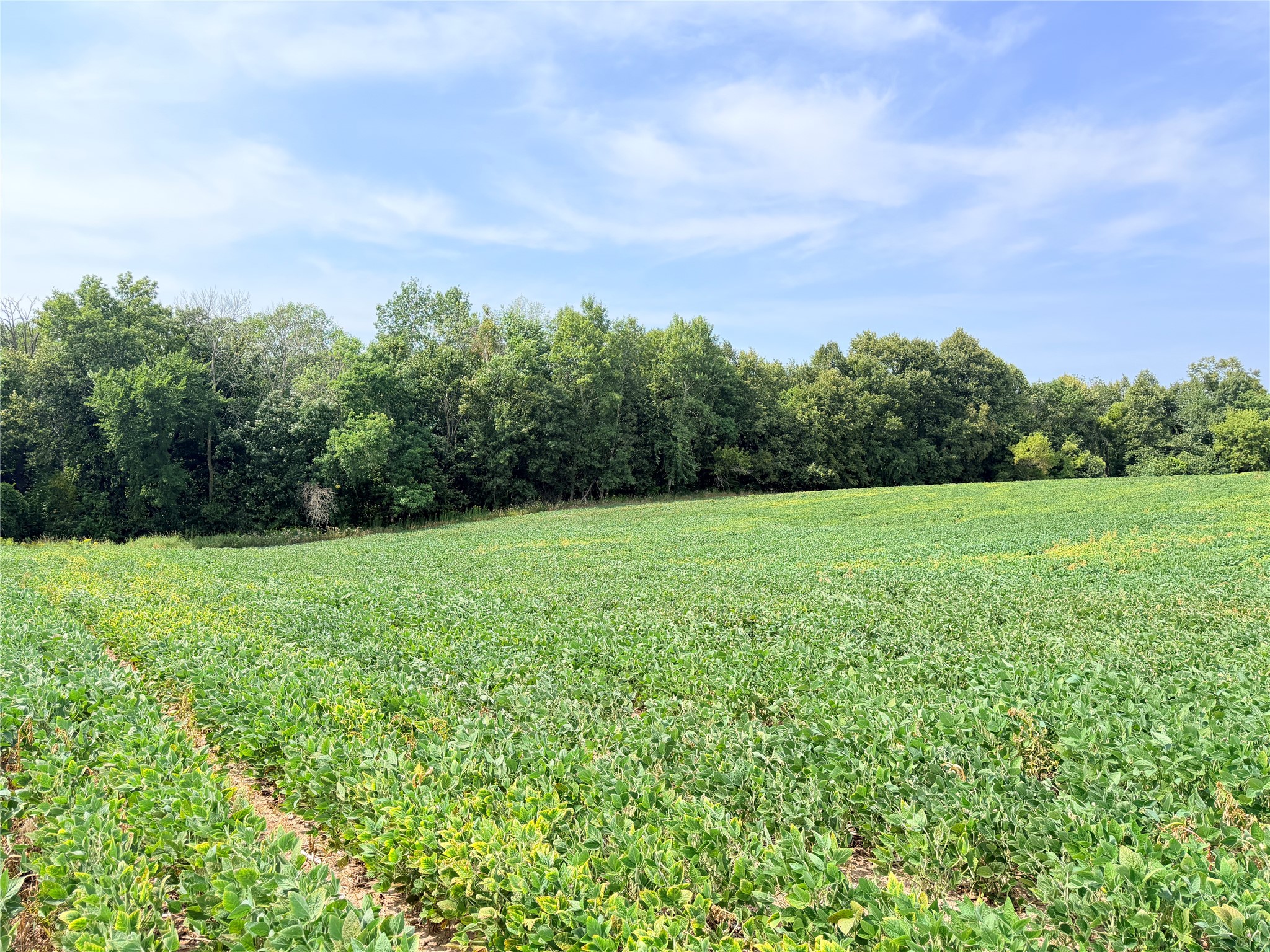 10 Acres Lot 3 230th Street Property Photo 1