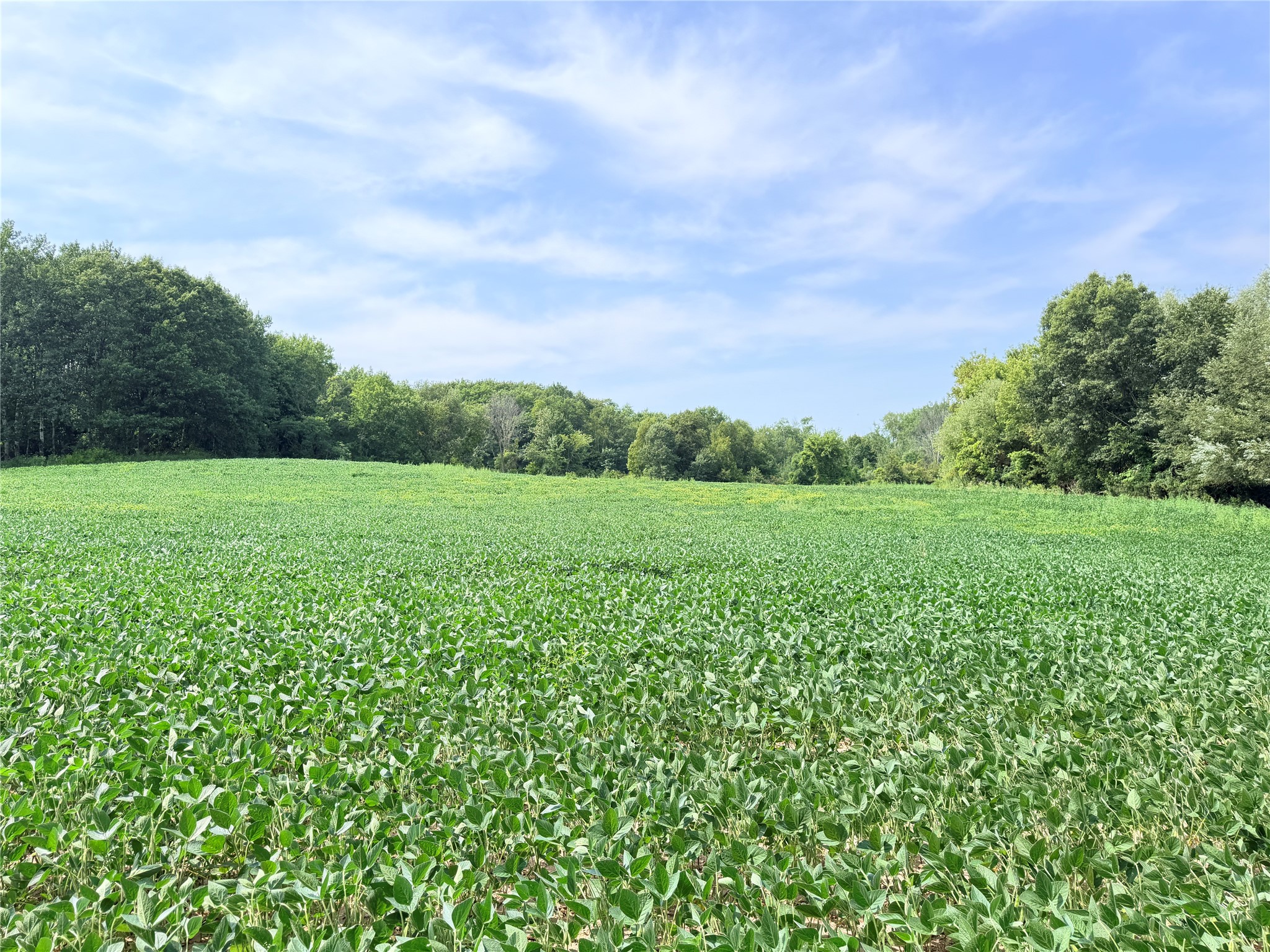 Lot 2 - 10 Acres 230th Street Property Photo 1