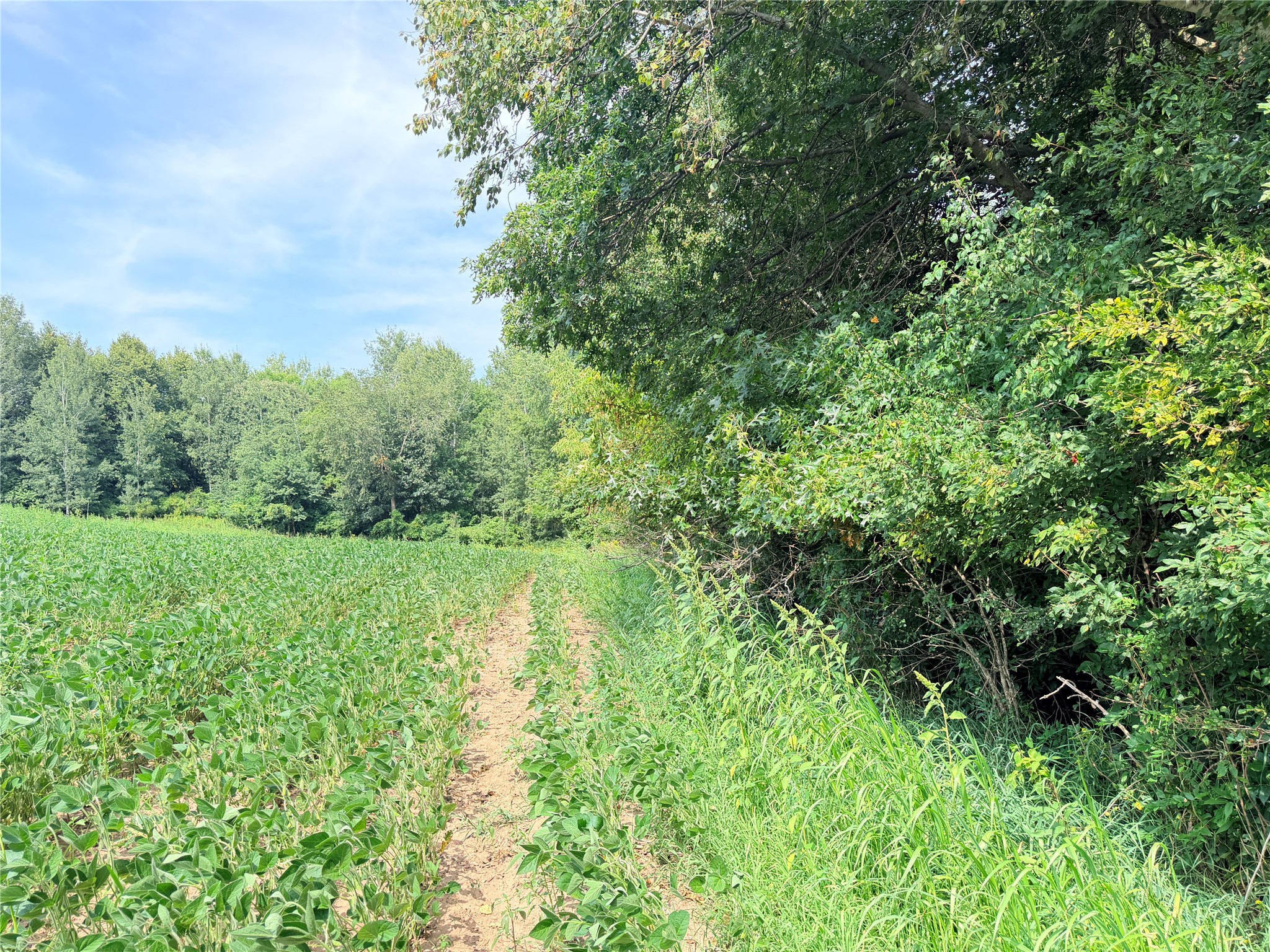 Lot 2 - 10 Acres 230th Street Property Photo 2