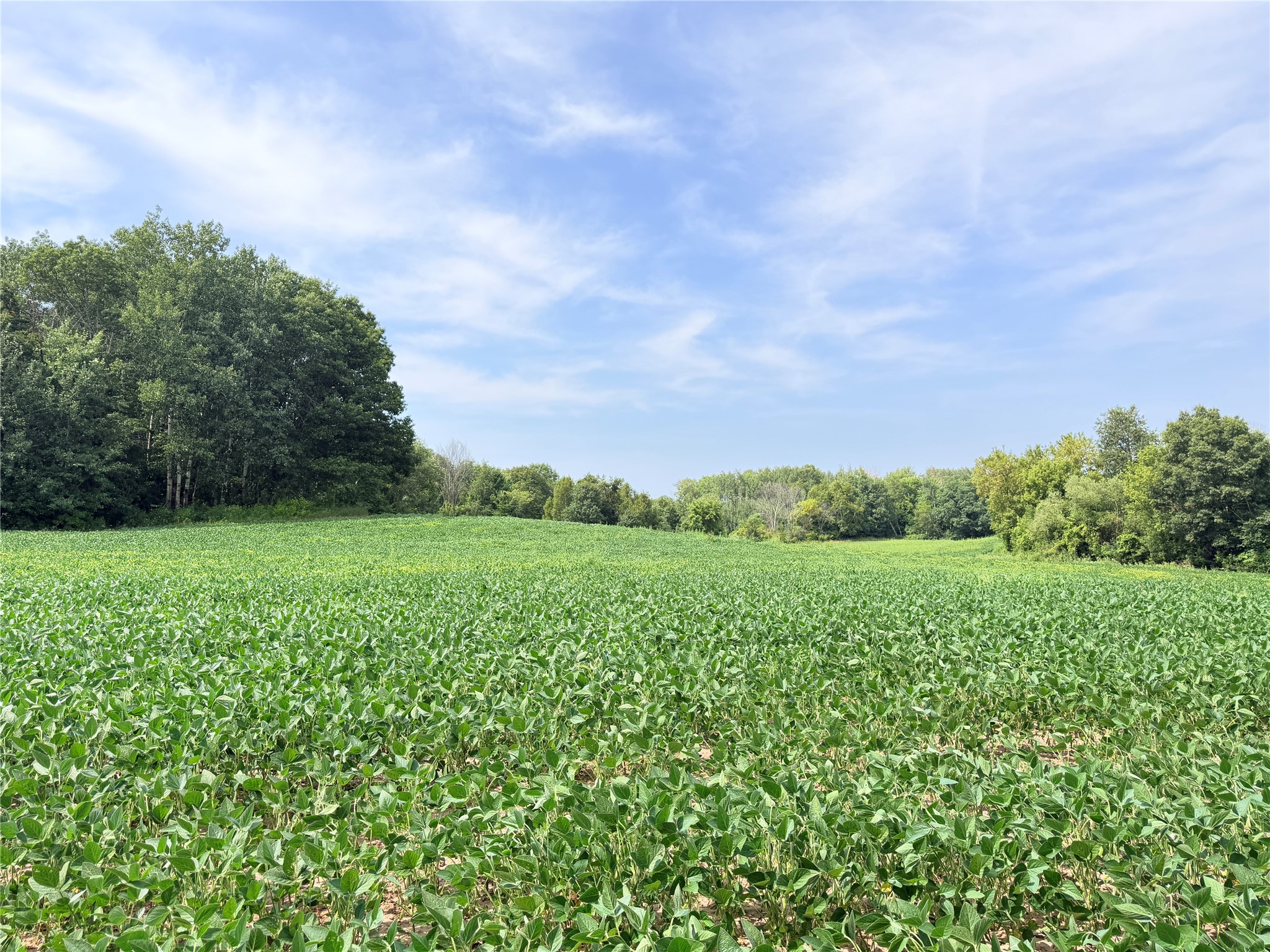 Lot 2 - 10 Acres 230th Street Property Photo 3