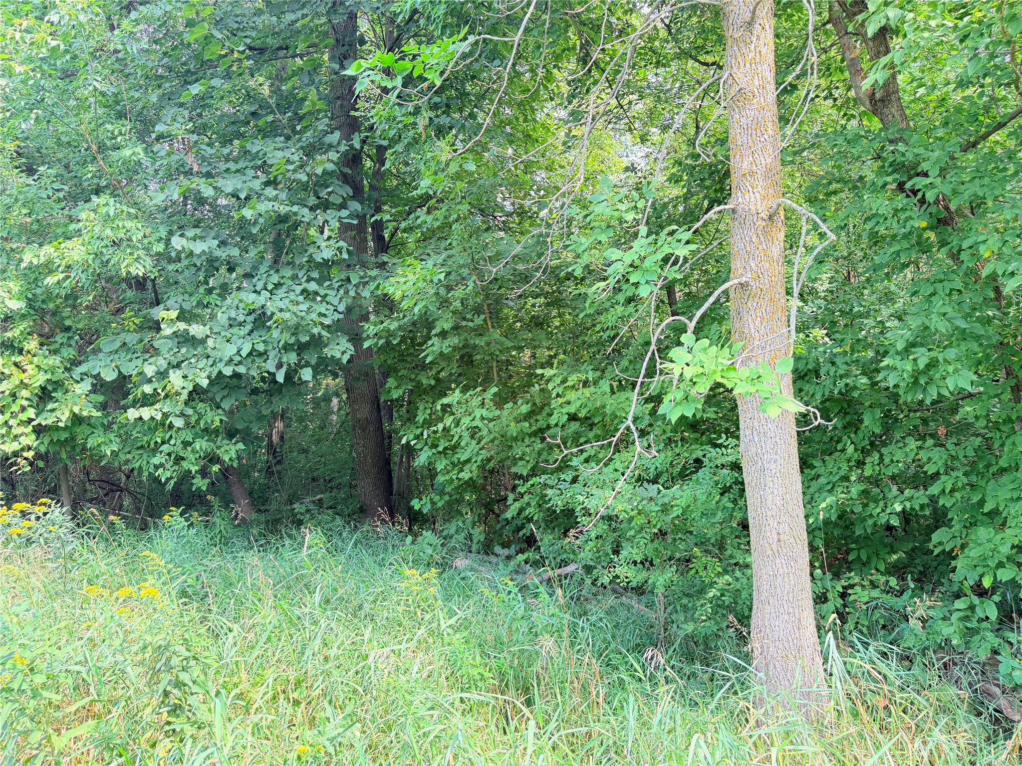 Lot 2 - 10 Acres 230th Street Property Photo 4