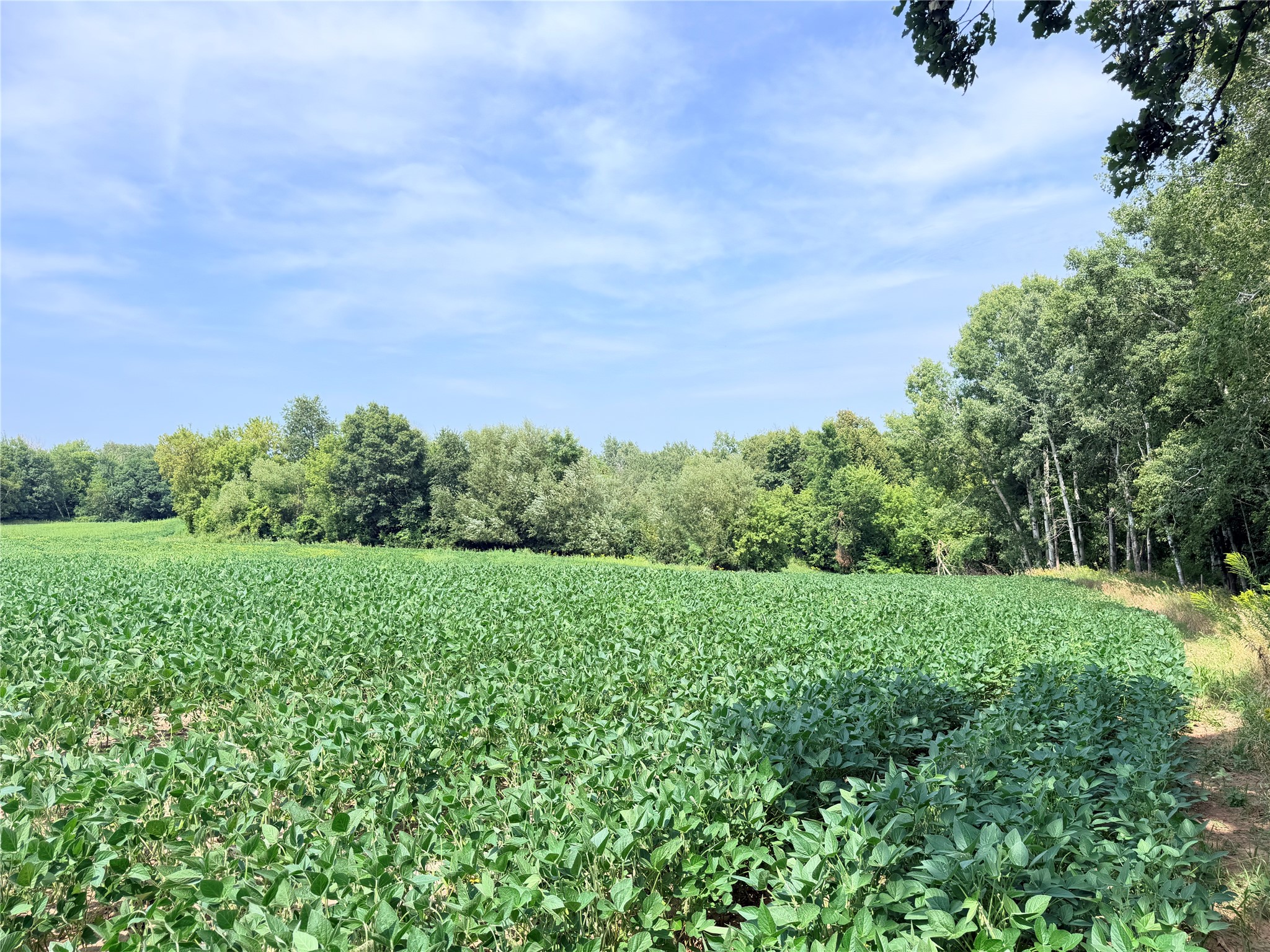 Lot 2 - 10 Acres 230th Street Property Photo 5