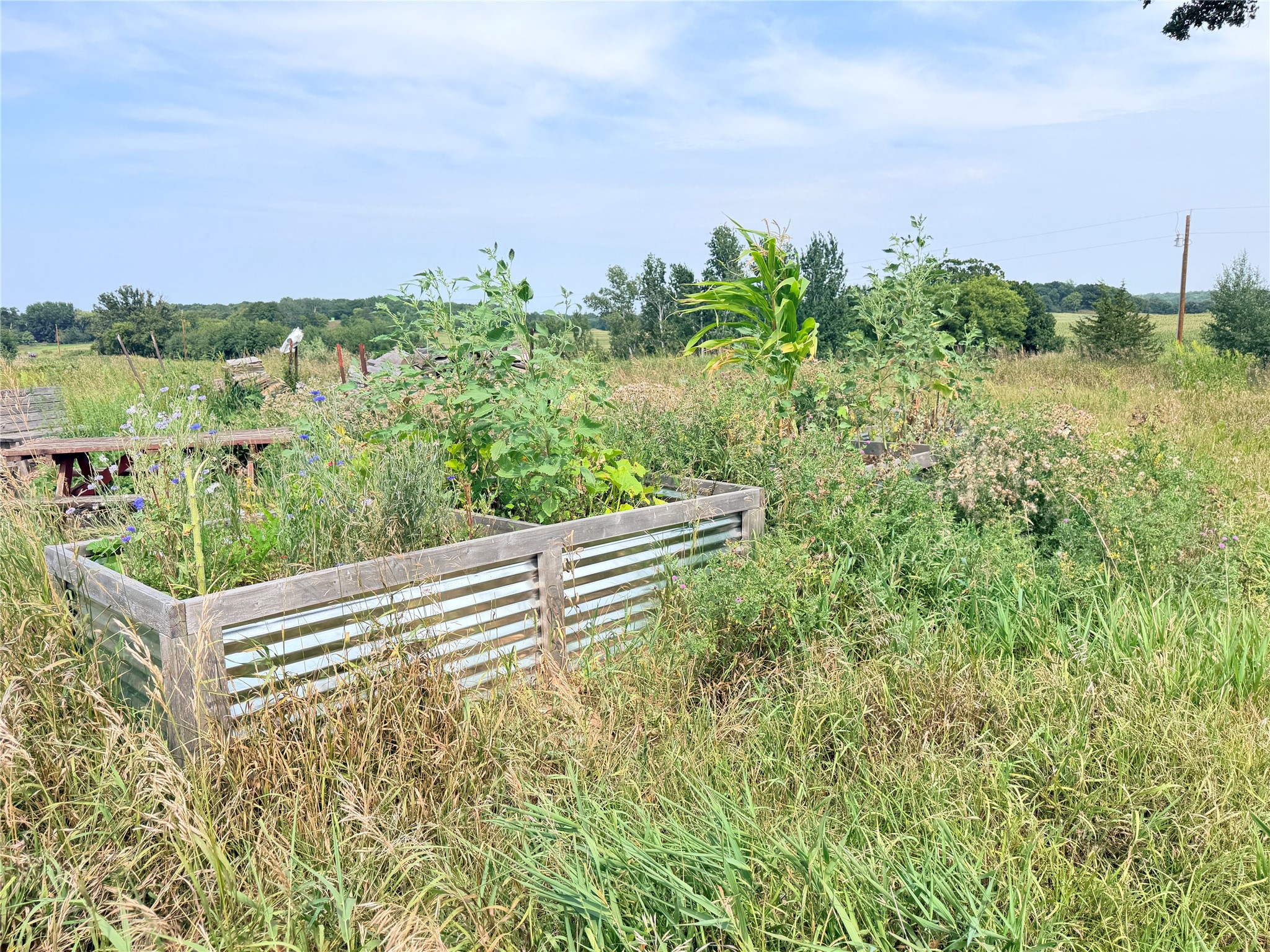 Lot 2 - 10 Acres 230th Street Property Photo 10