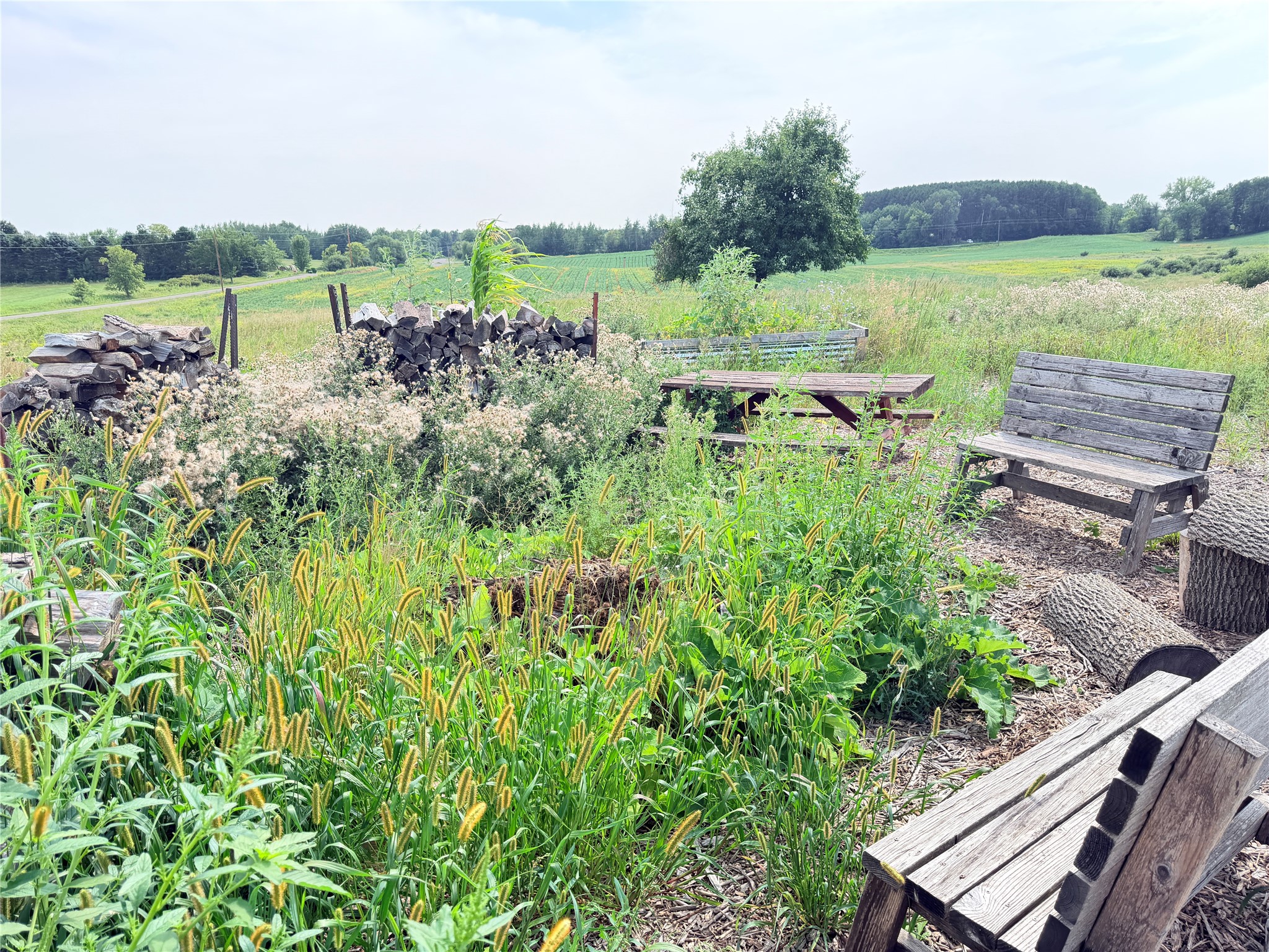 Lot 2 - 10 Acres 230th Street Property Photo 12