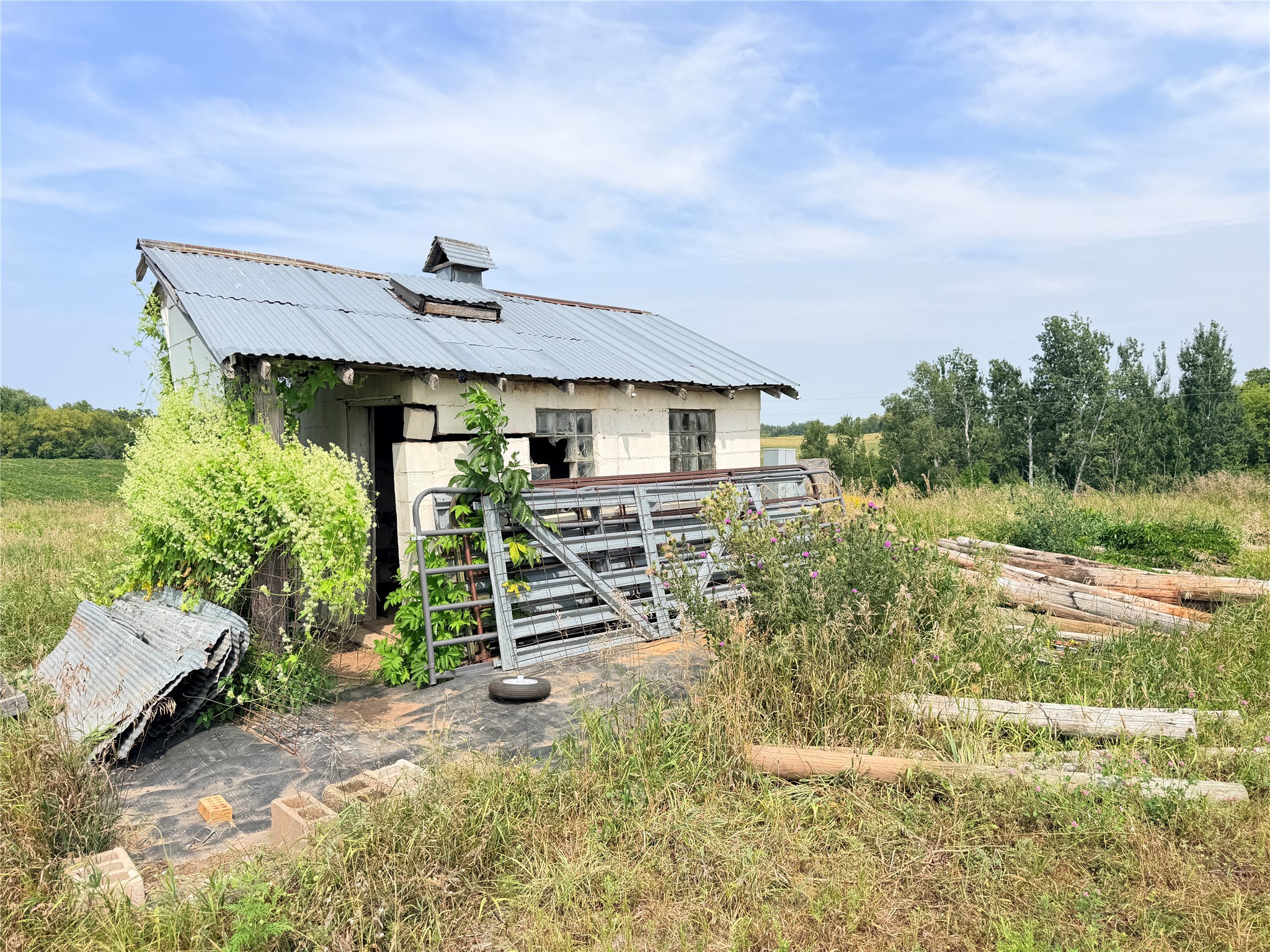 Lot 2 - 10 Acres 230th Street Property Photo 14