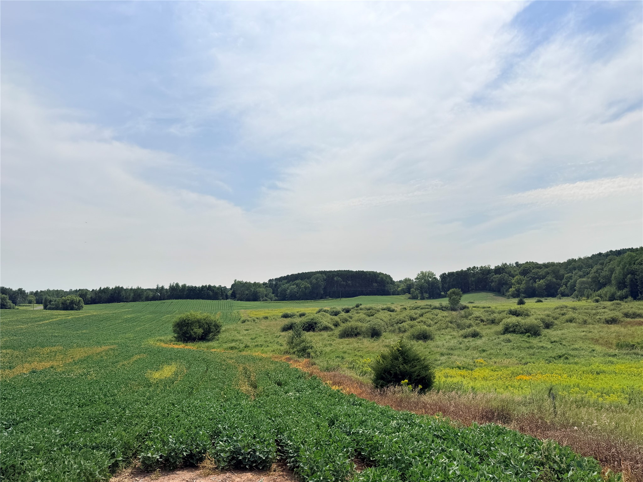 Lot 2 - 10 Acres 230th Street Property Photo 15