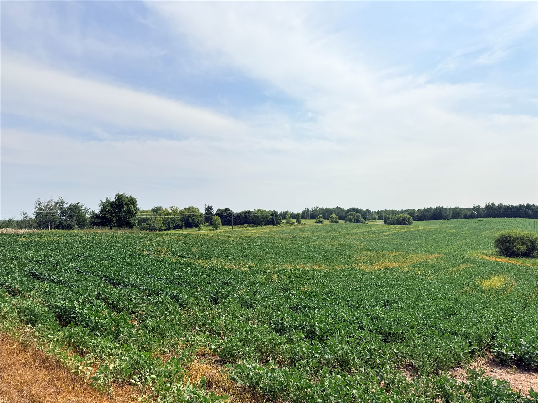 Lot 2 - 10 Acres 230th Street Property Photo 16