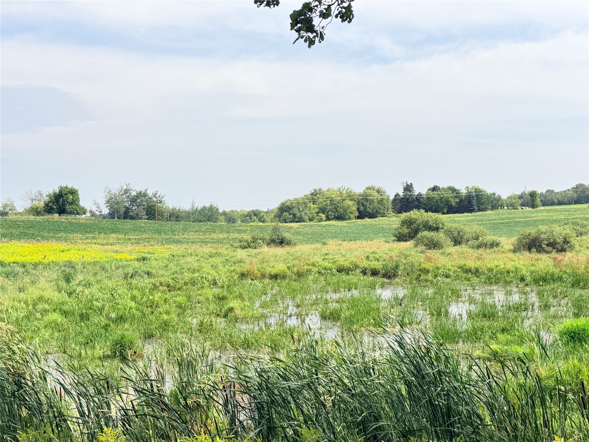 Lot 2 - 10 Acres 230th Street Property Photo 17