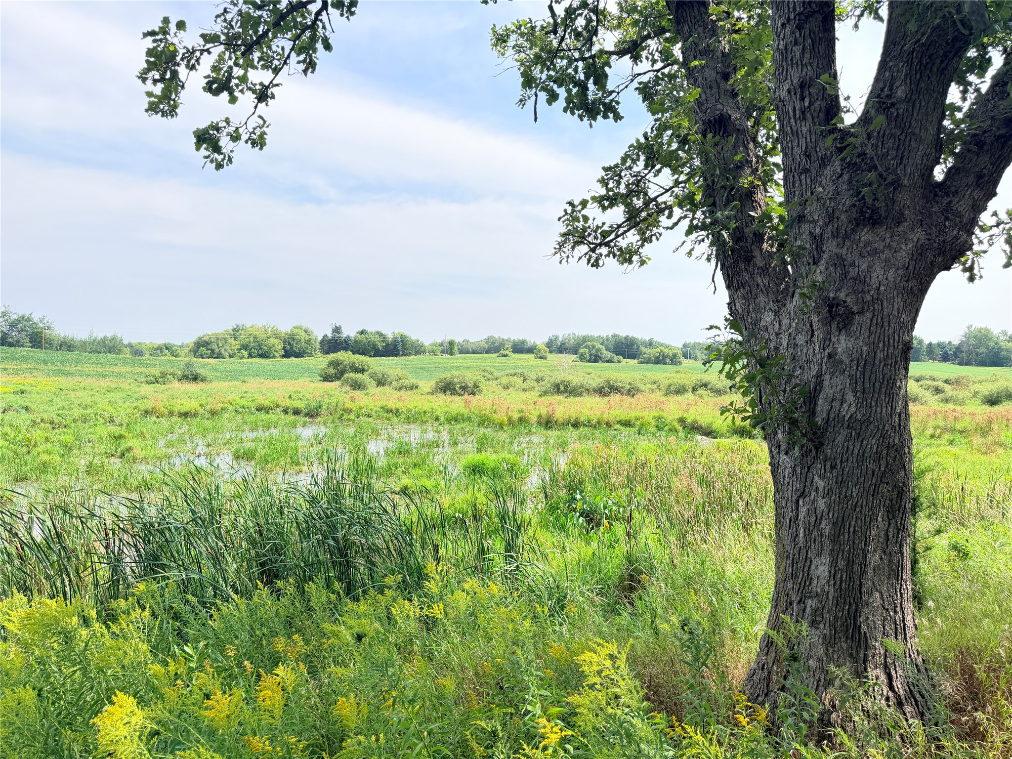Lot 2 - 10 Acres 230th Street Property Photo 18