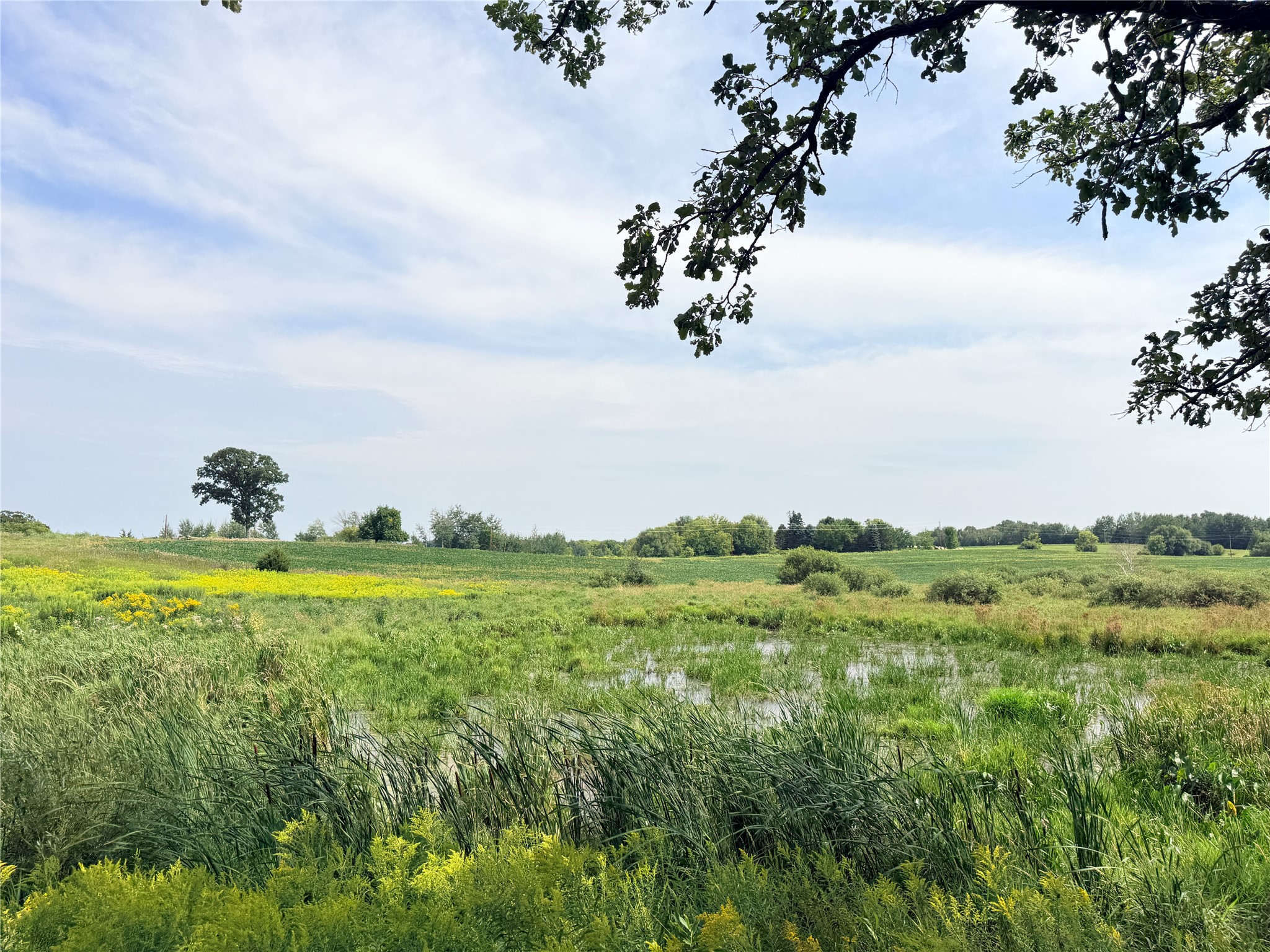 Lot 2 - 10 Acres 230th Street Property Photo 19