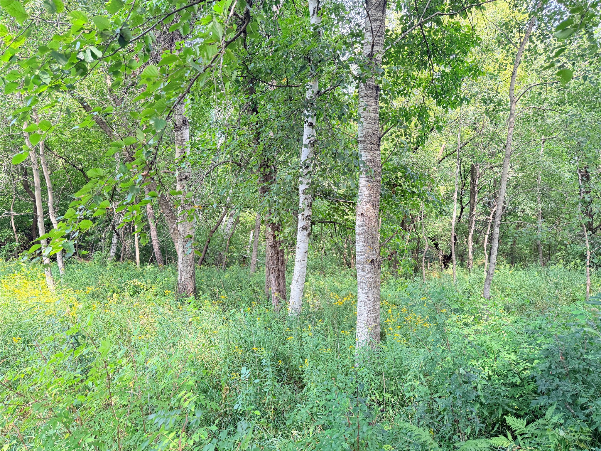 Lot 2 - 10 Acres 230th Street Property Photo 21