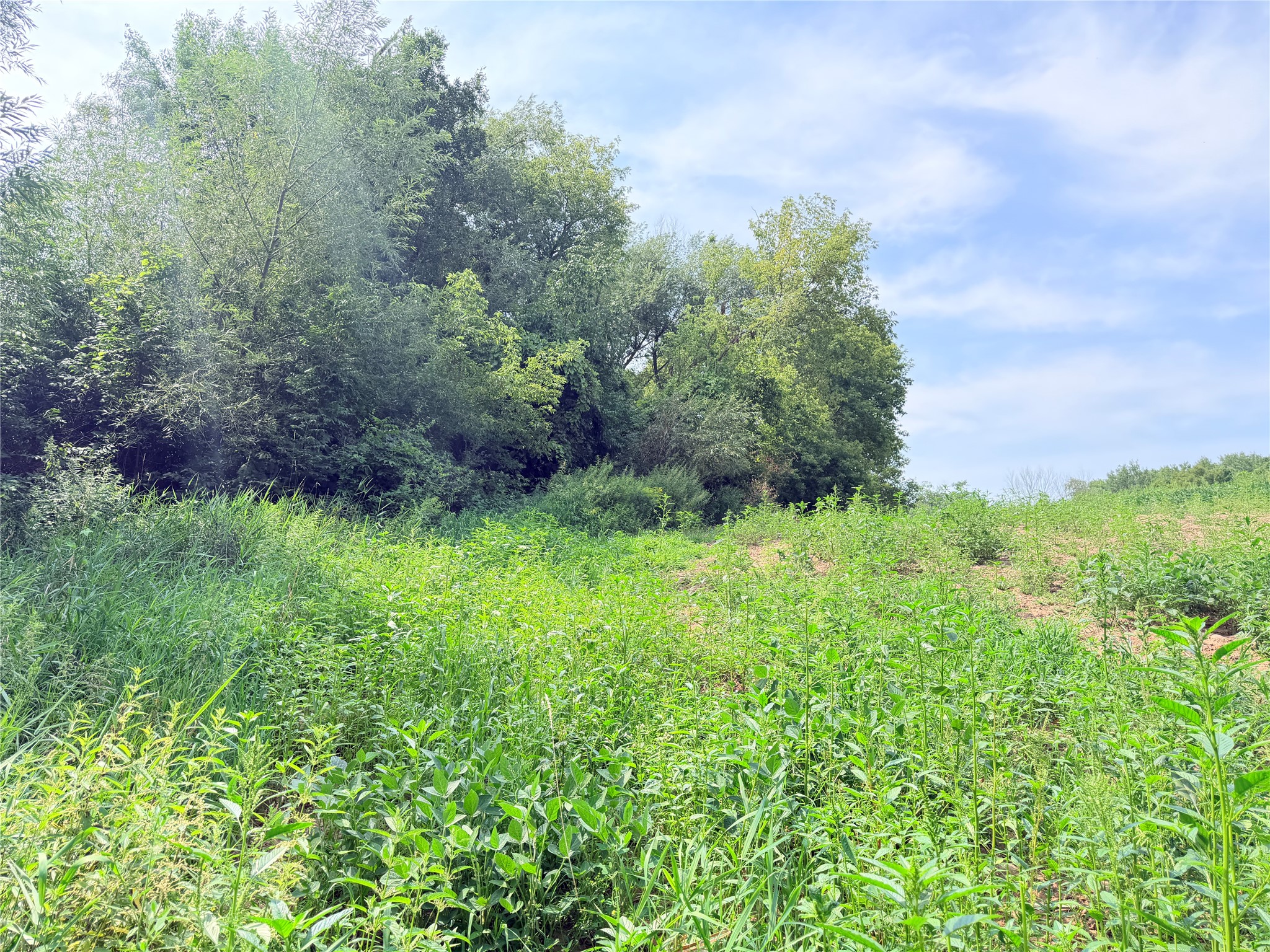 Lot 2 - 10 Acres 230th Street Property Photo 24