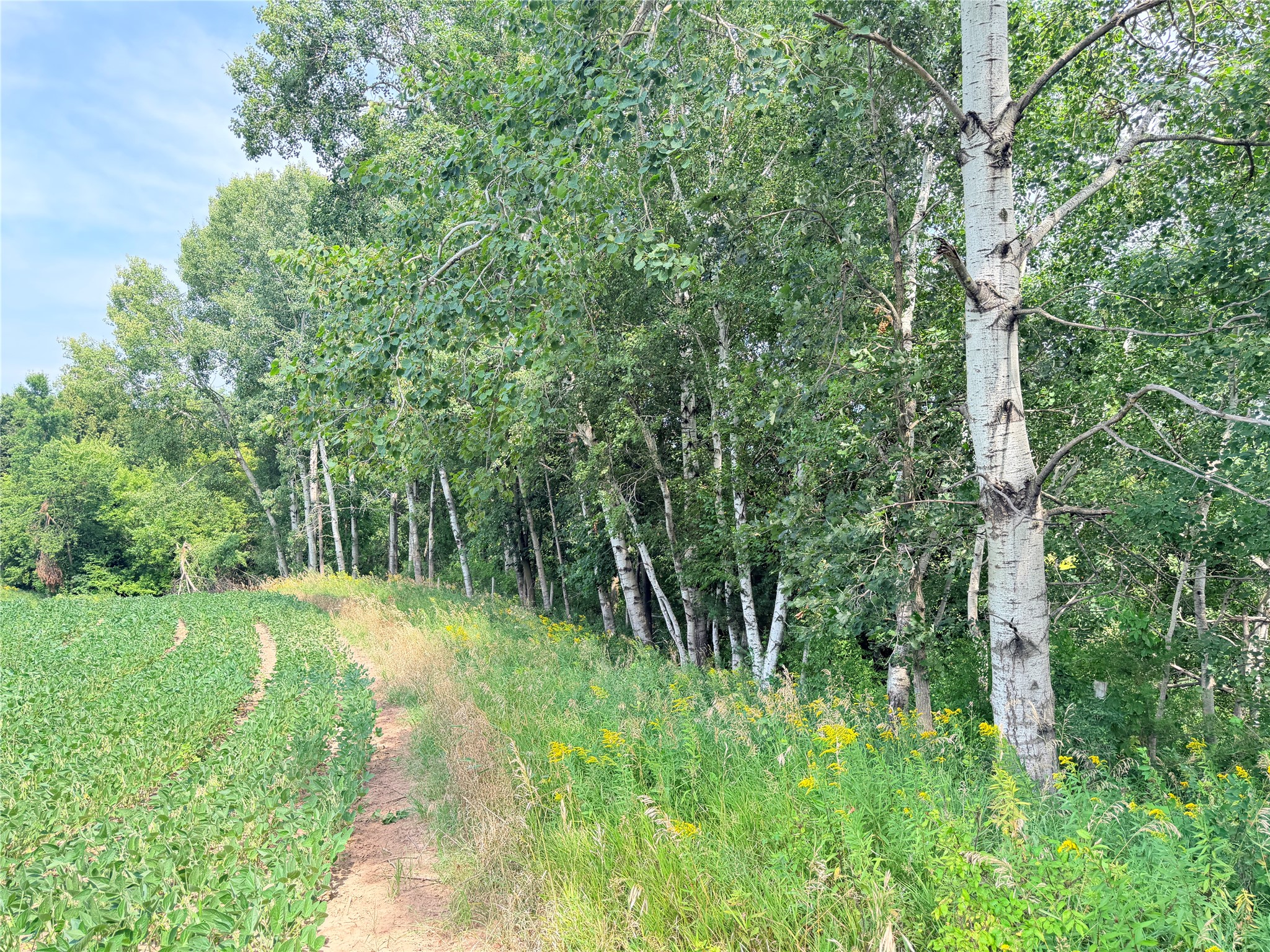 Lot 2 - 10 Acres 230th Street Property Photo 26