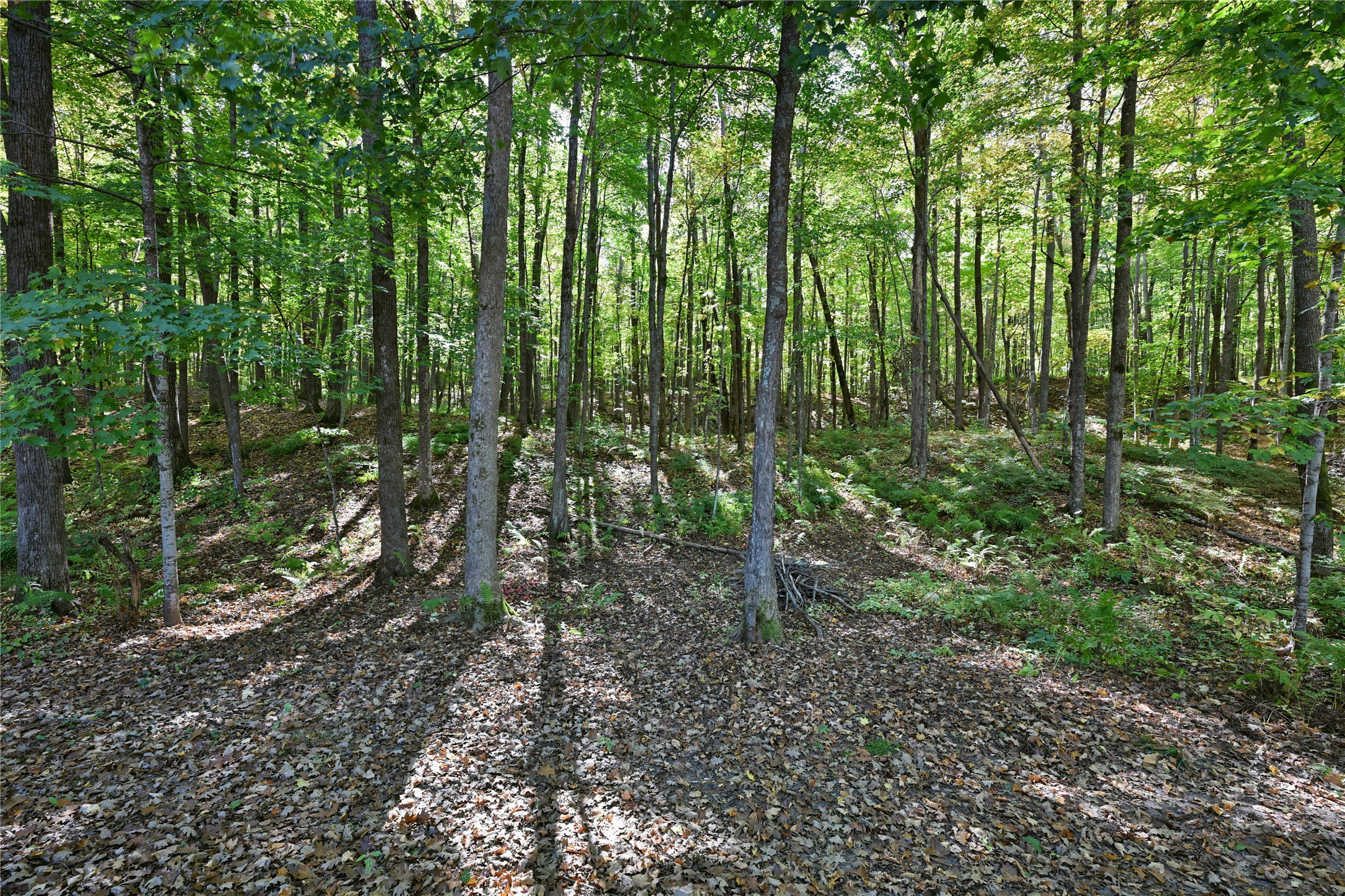 W3917 County Highway D Property Photo 30