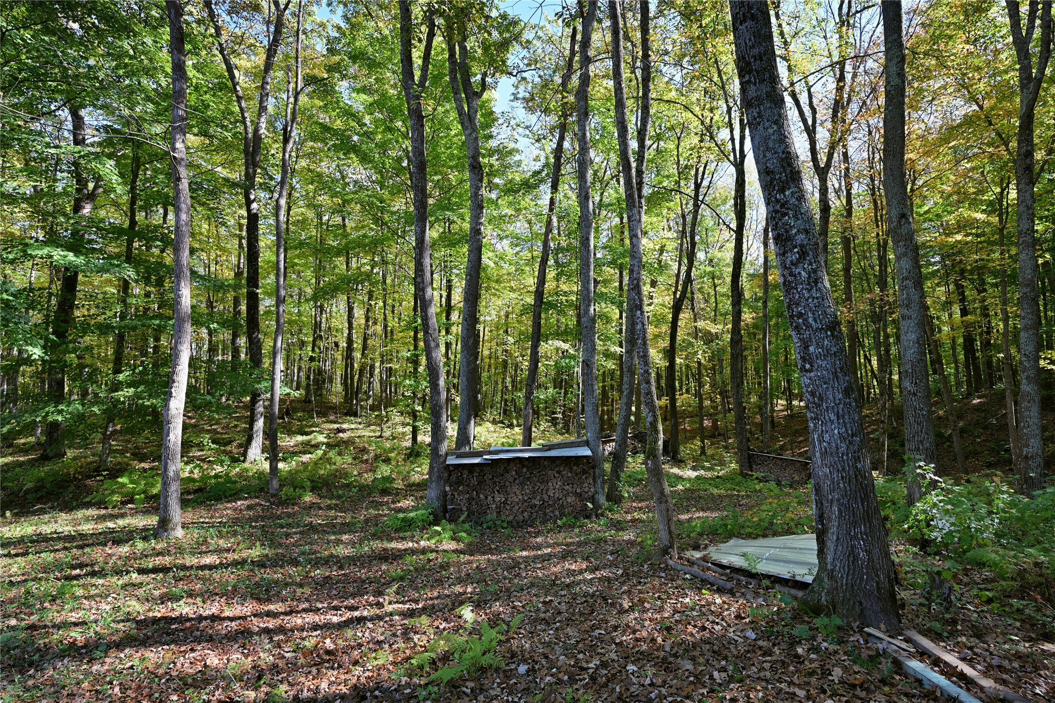 W3917 County Highway D Property Photo 31
