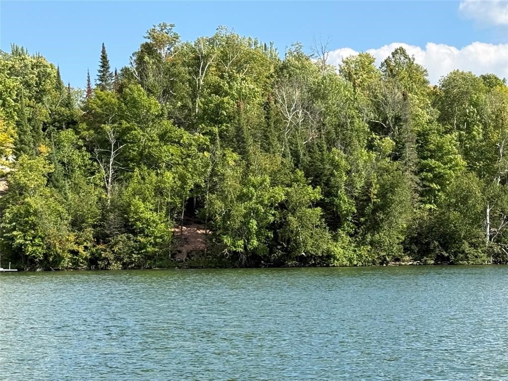 Xxx Long Lake Road Property Photo 17