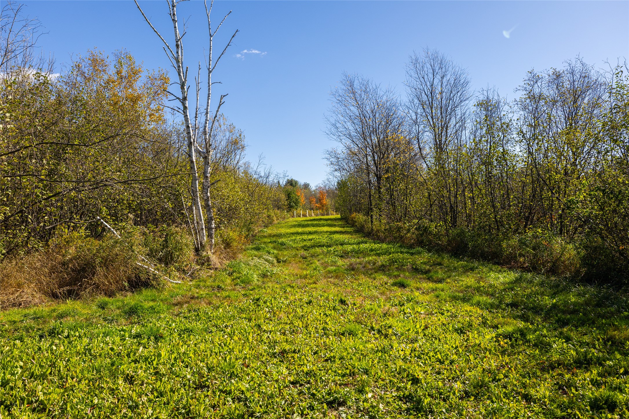 W2621 Goetzke Road Property Photo 21