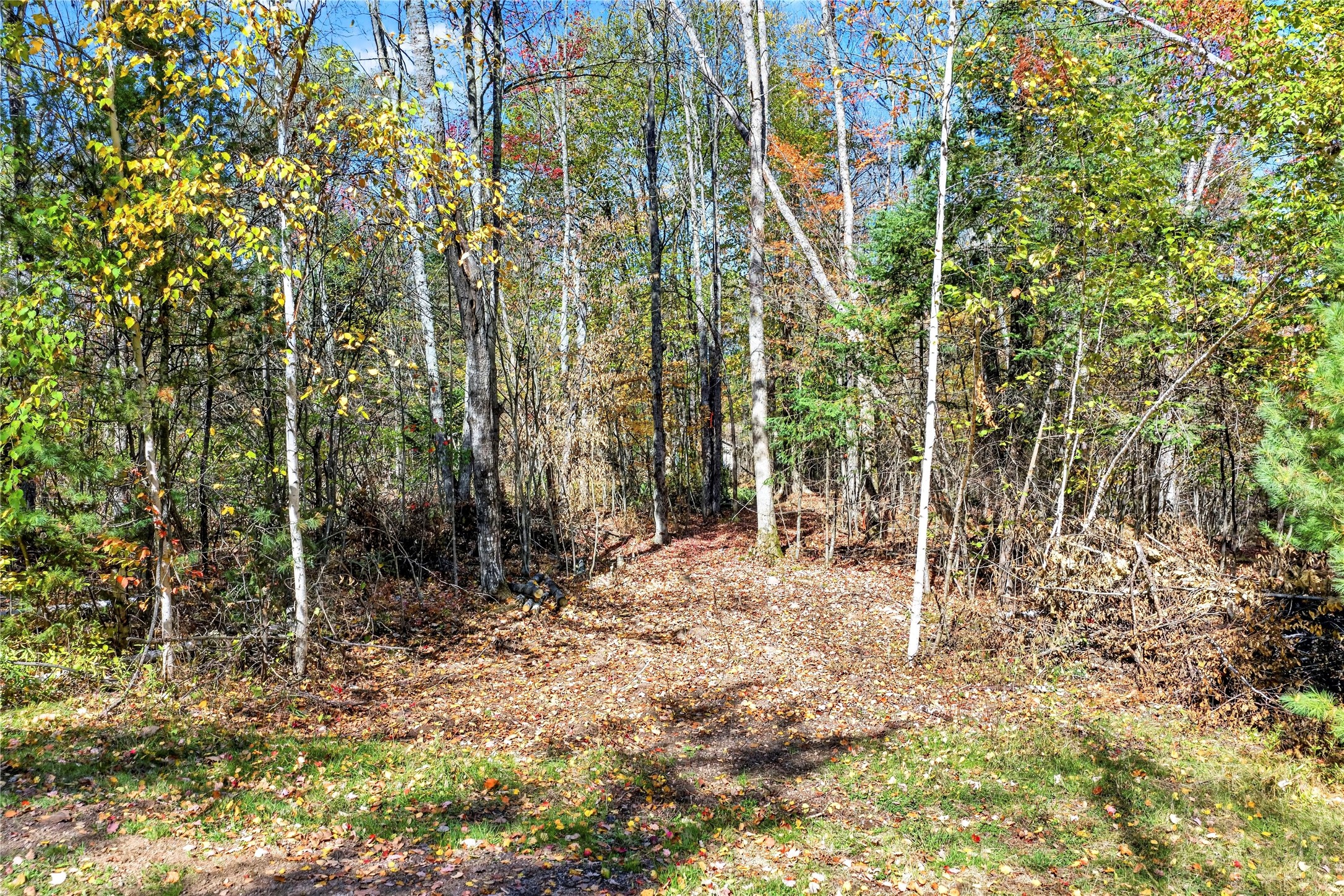 5864 W Otter Lane Property Photo 6