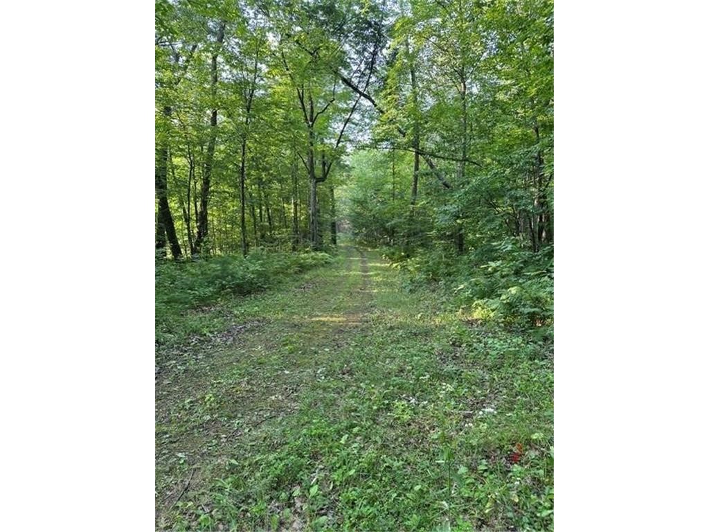 1151 27th Avenue Property Photo 33
