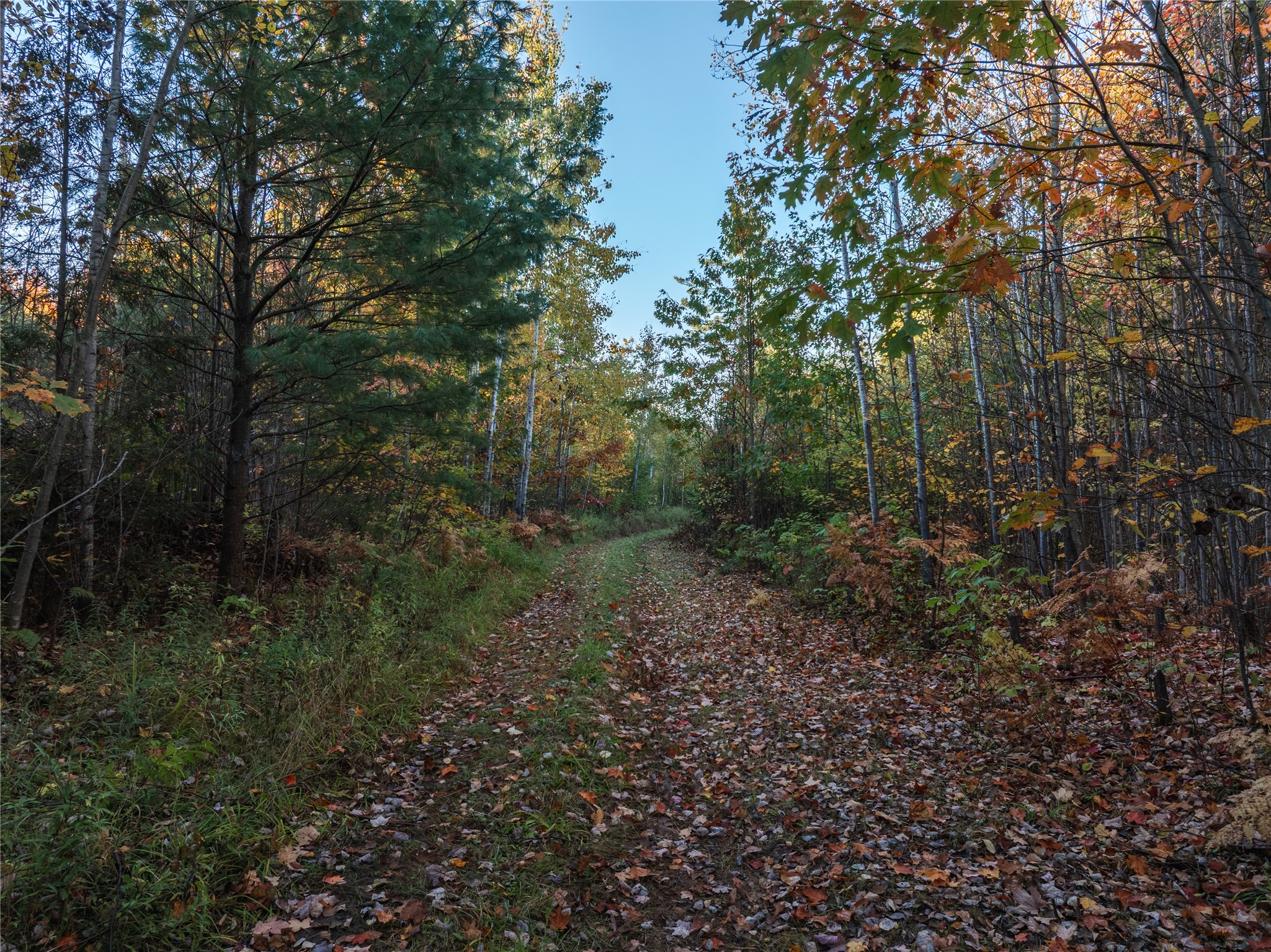 000 Winter Road Property Photo 33