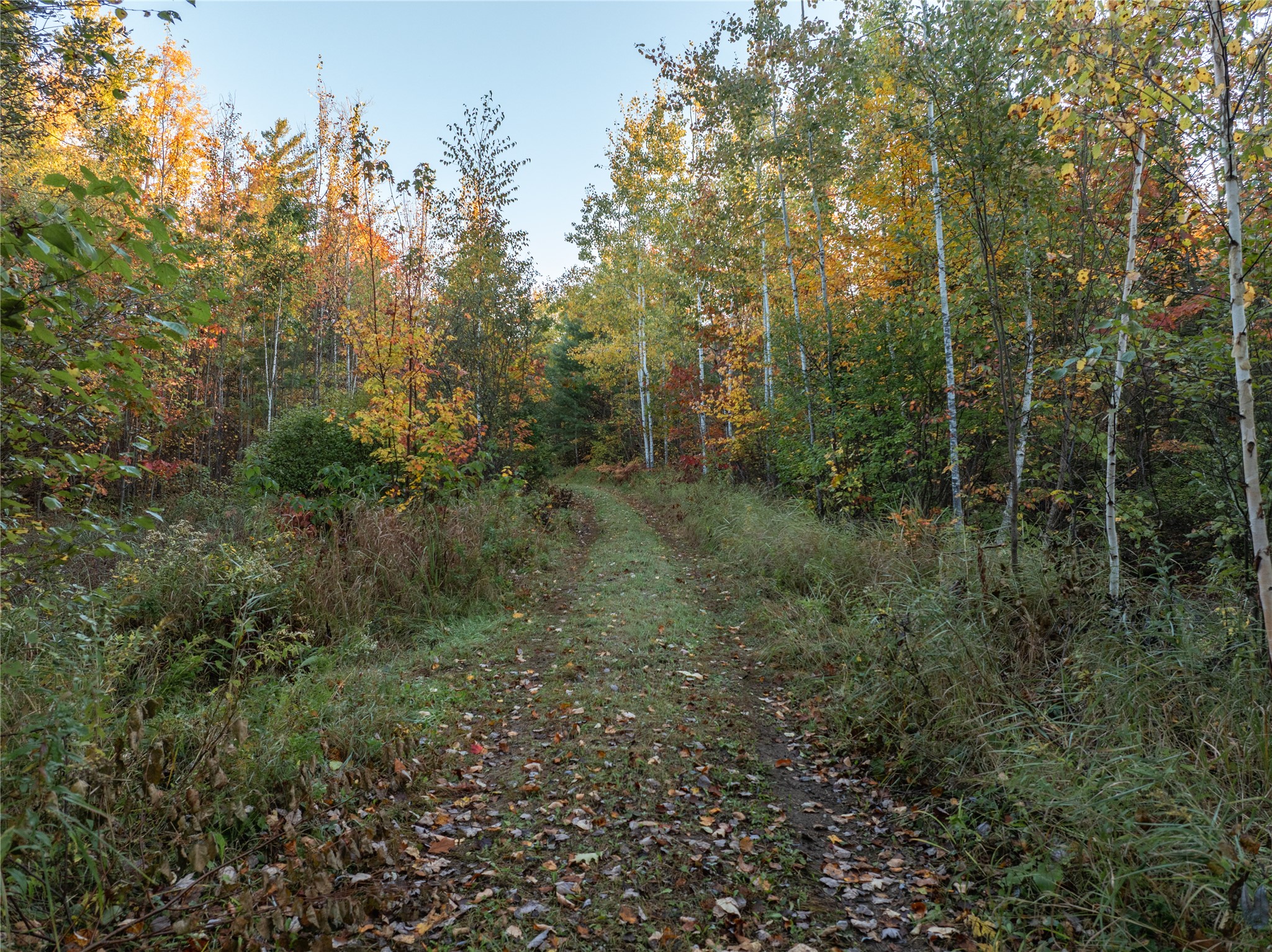 000 Winter Road Property Photo 34