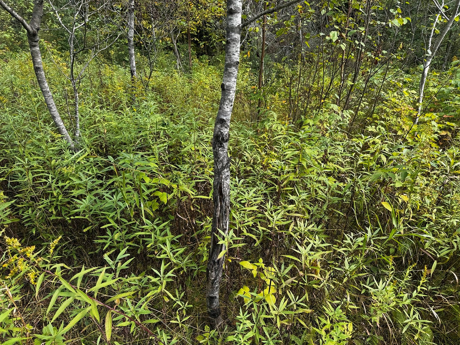 000 Winter Road Property Photo 35
