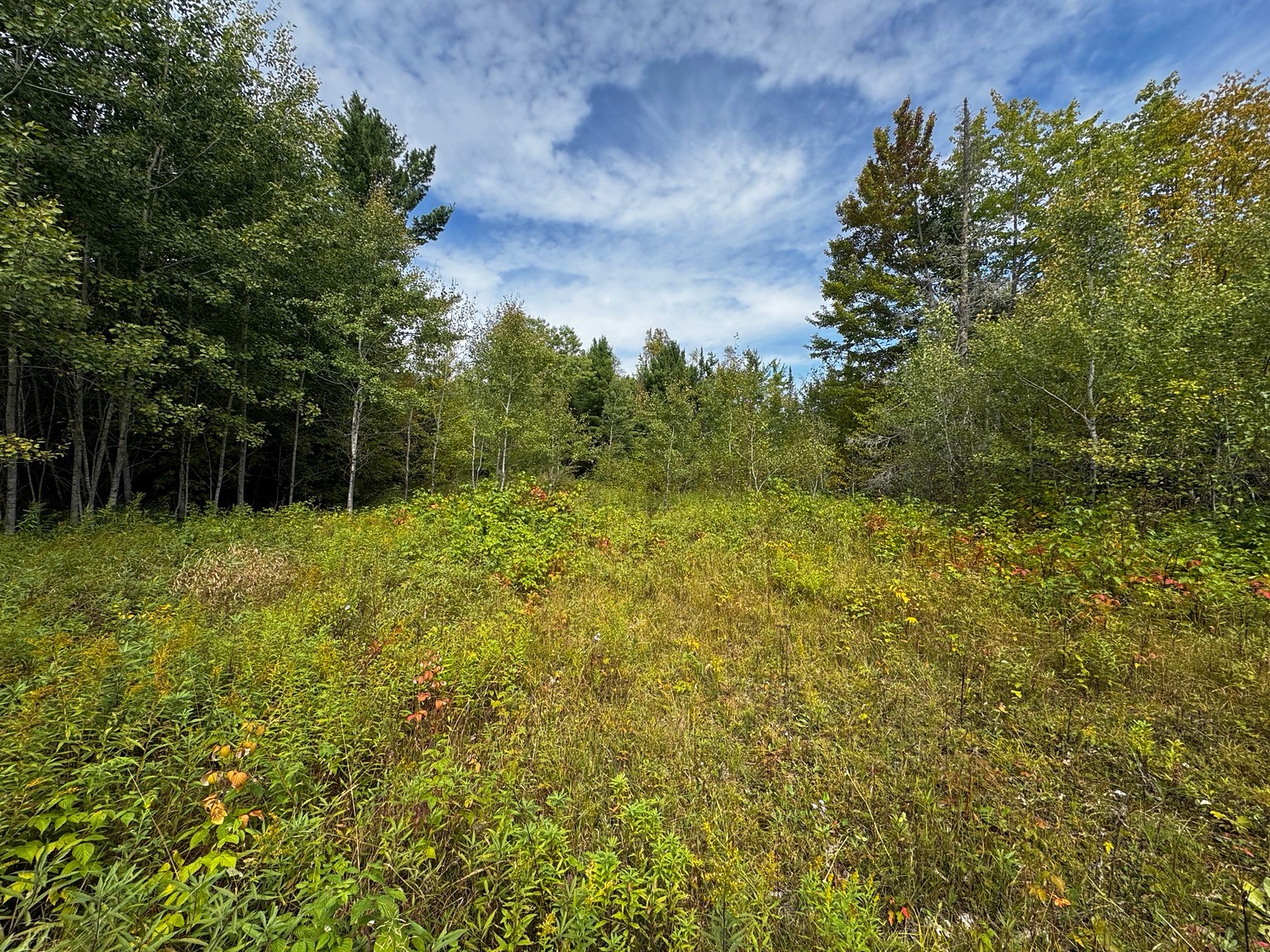 000 Winter Road Property Photo 36