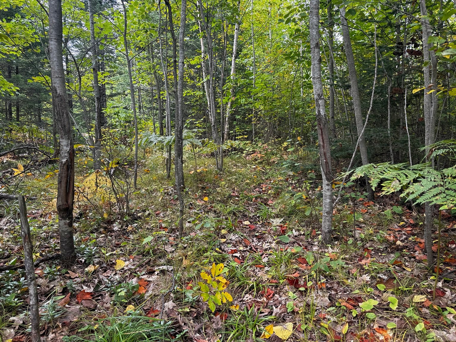 000 Winter Road Property Photo 42