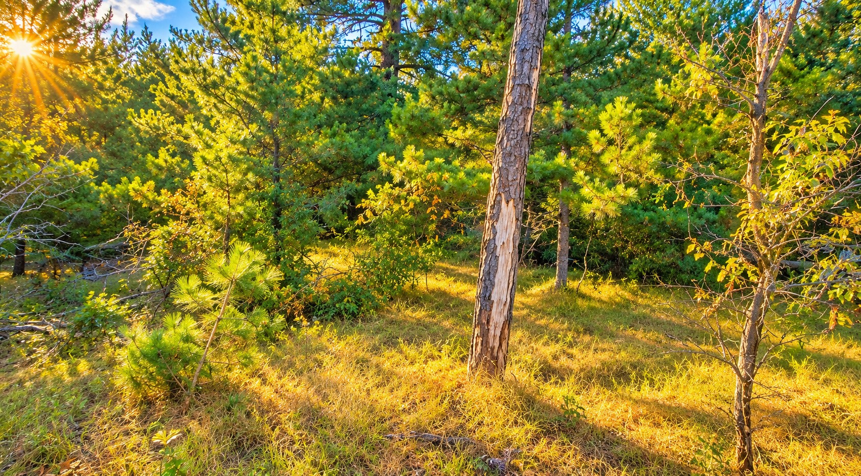 Tbd Souix Lane Property Photo 2