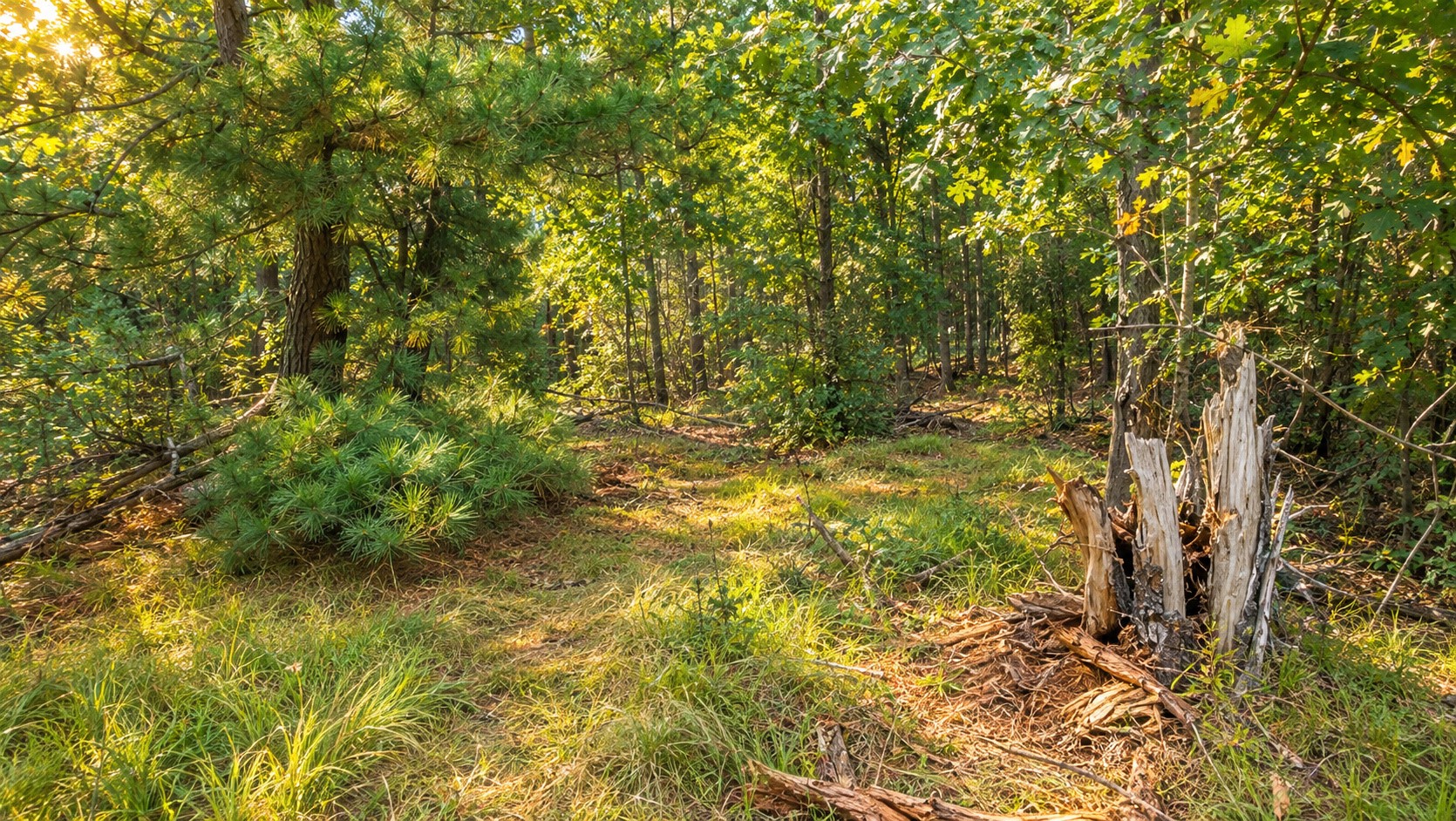 Tbd Souix Lane Property Photo 14