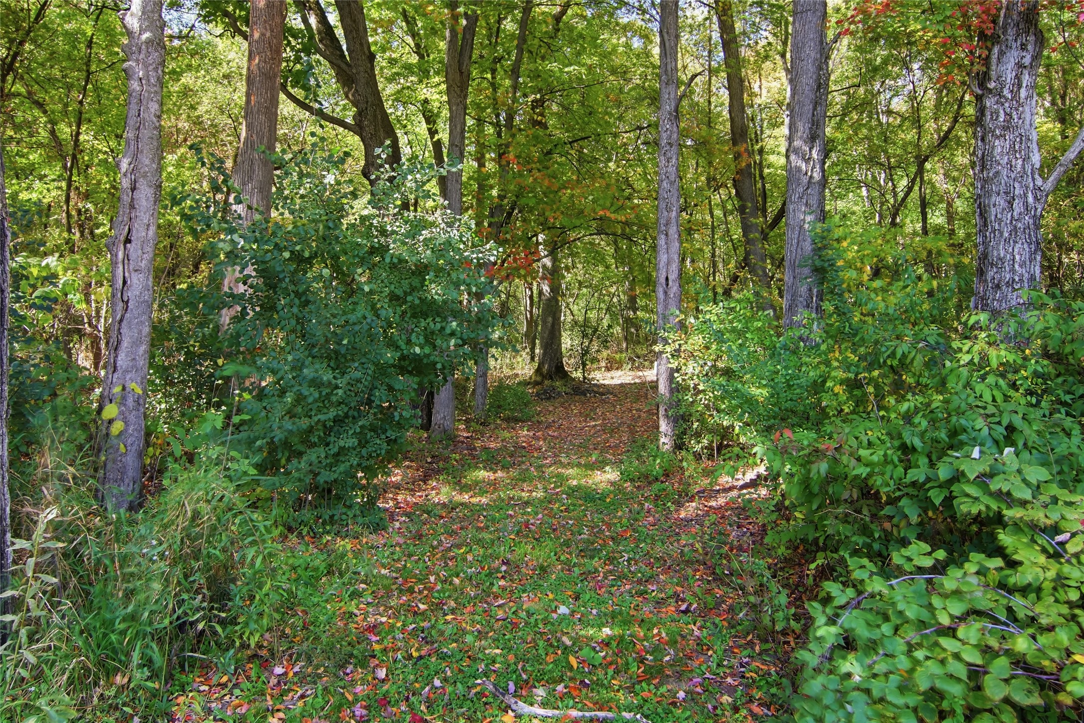 12990 125th Street Property Photo 7