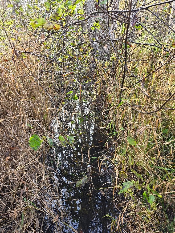 00 State Highway 77 Property Photo 4
