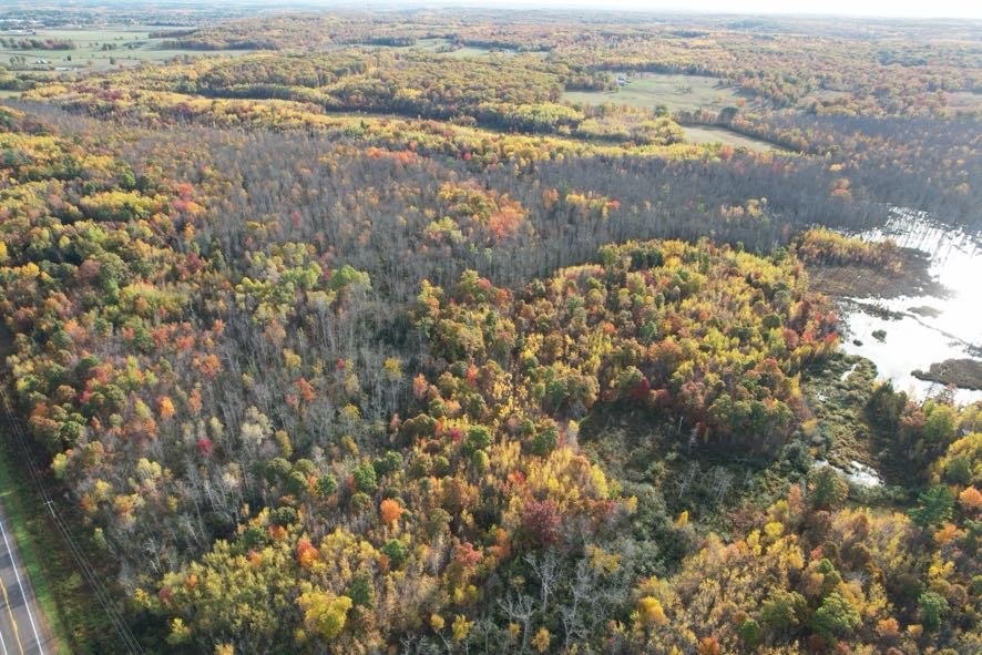 00 State Highway 77 Property Photo 6