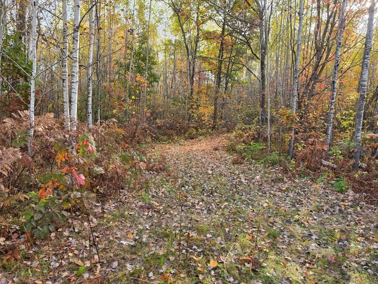 00 State Highway 77 Property Photo 15