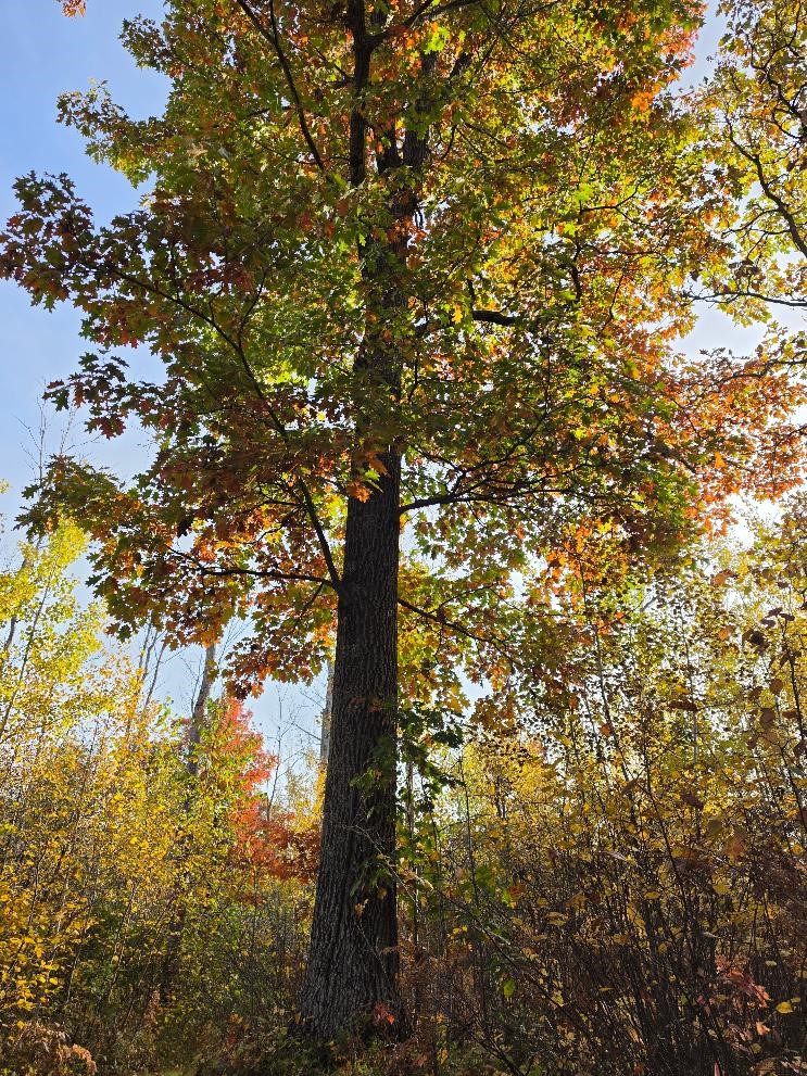 00 State Highway 77 Property Photo 17