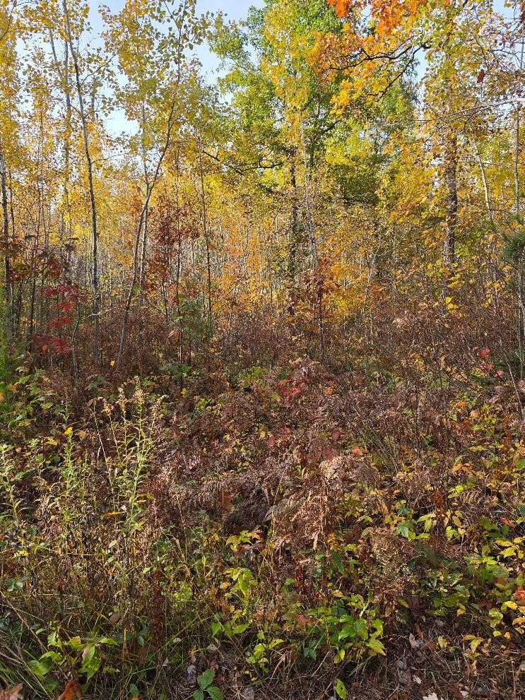 00 State Highway 77 Property Photo 18