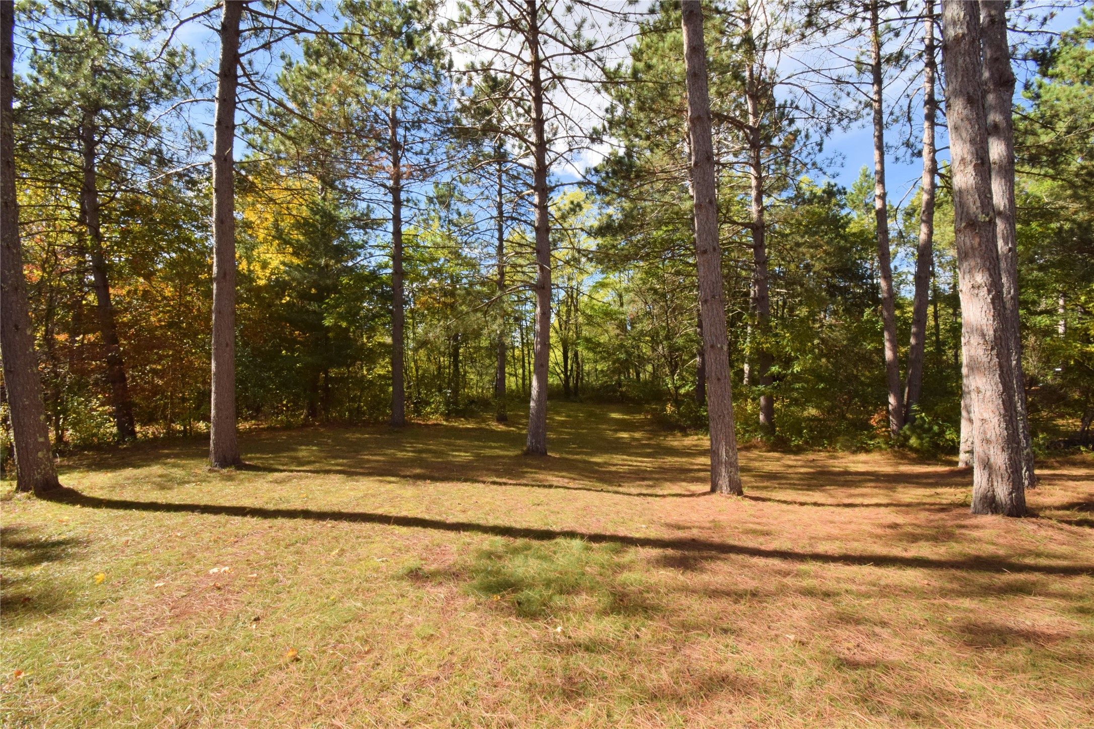 31792 Airfield Road Property Photo 4