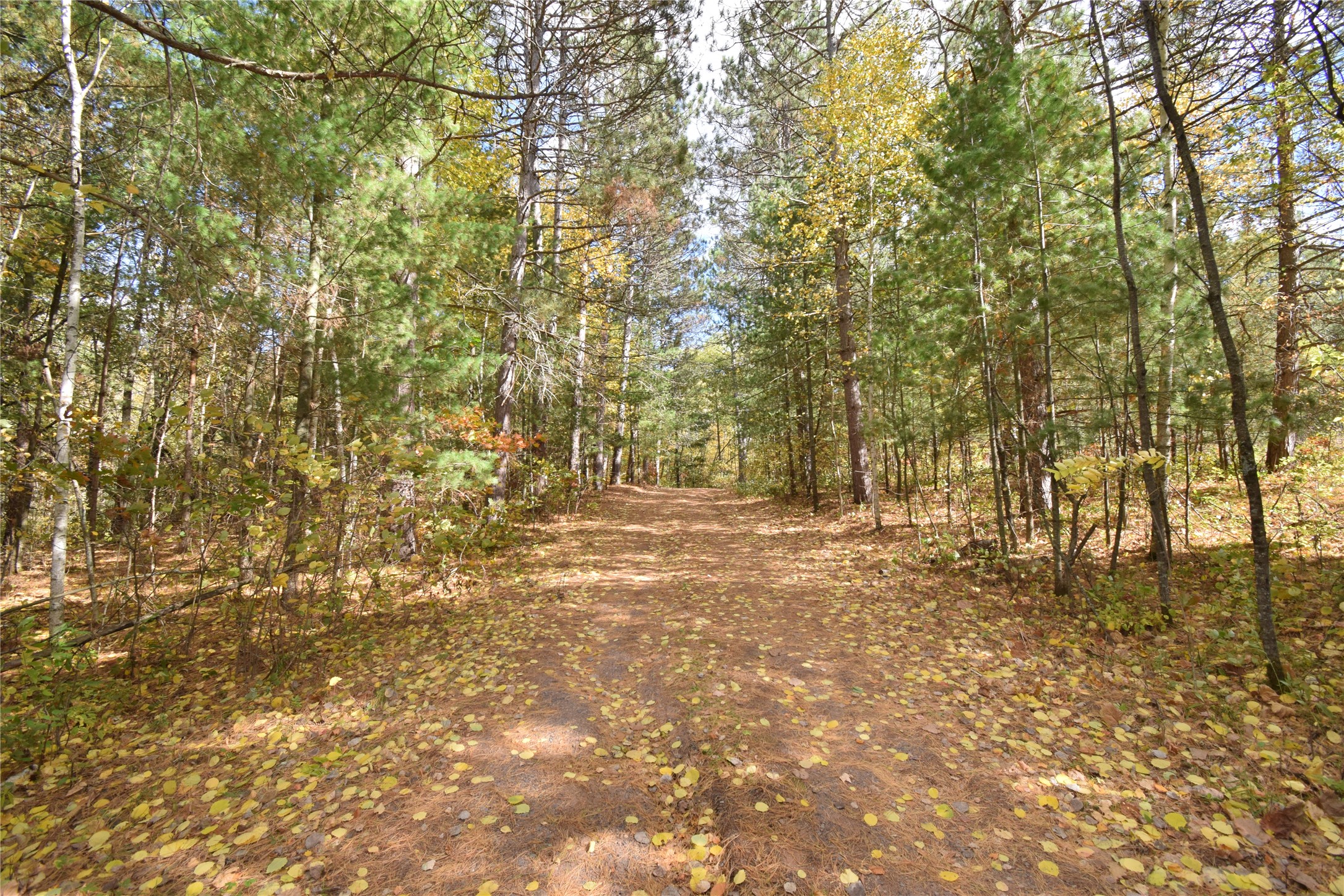 31792 Airfield Road Property Photo 54
