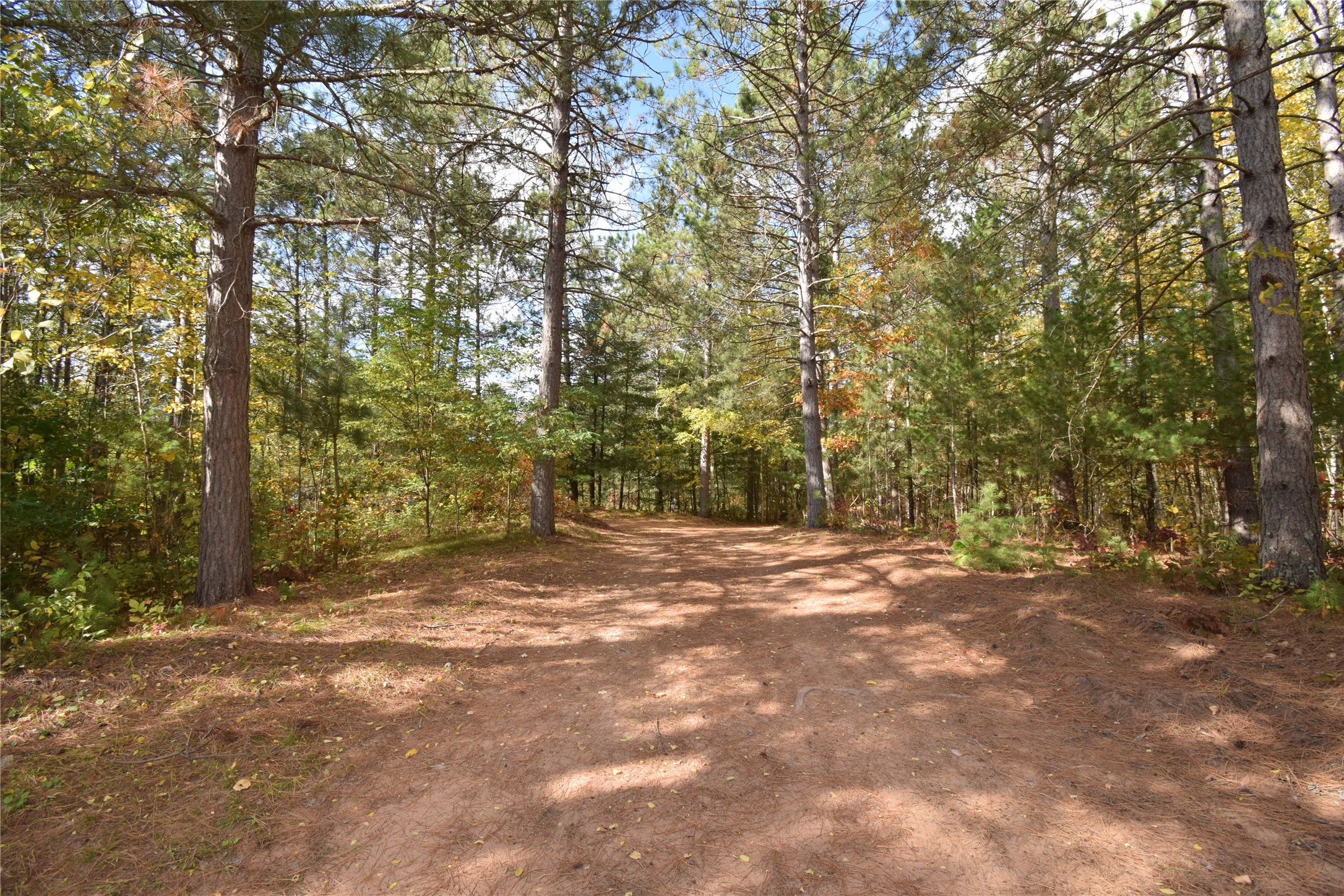 31792 Airfield Road Property Photo 55