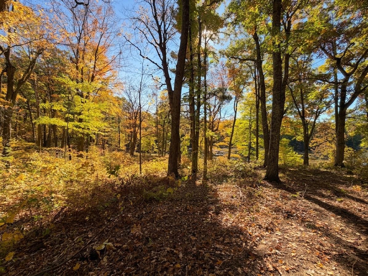 Lot 79 Loons Landing Road Property Photo 4