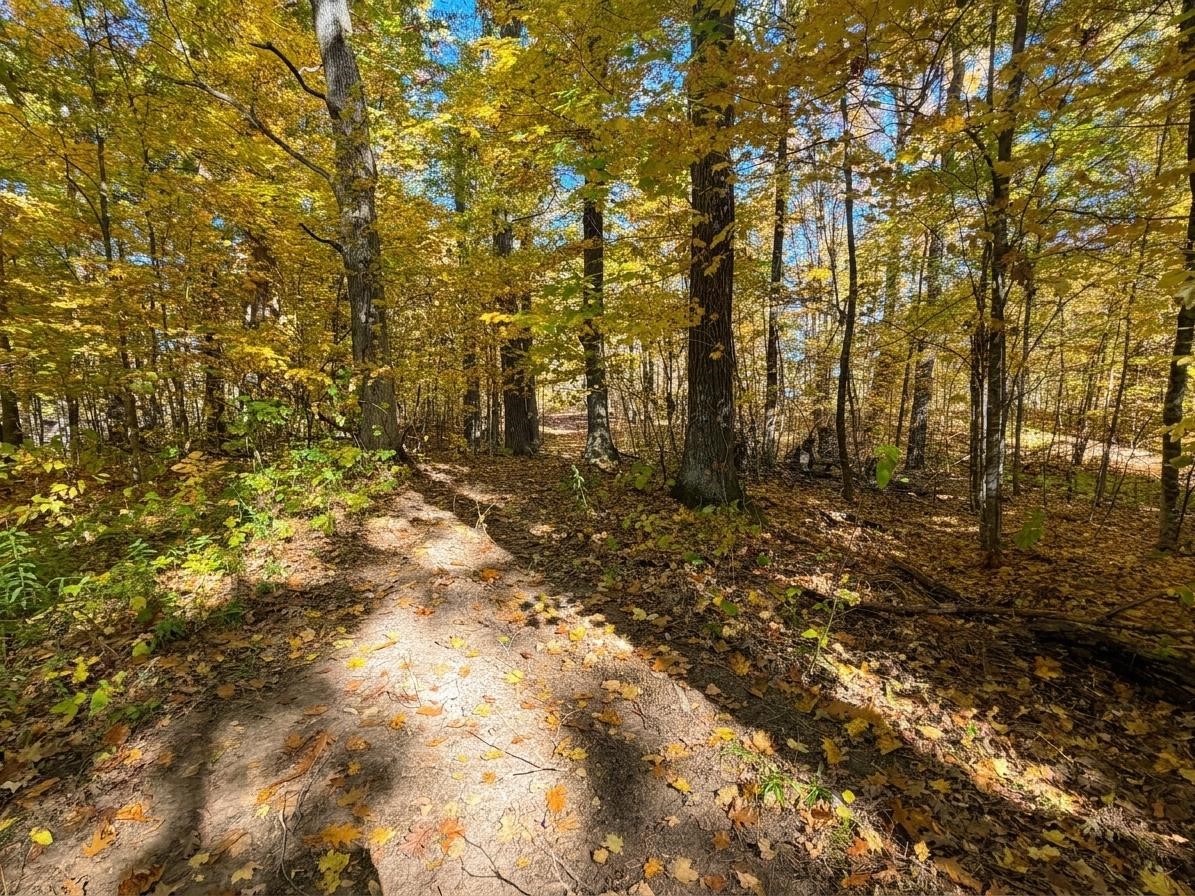 Lot 79 Loons Landing Road Property Photo 9