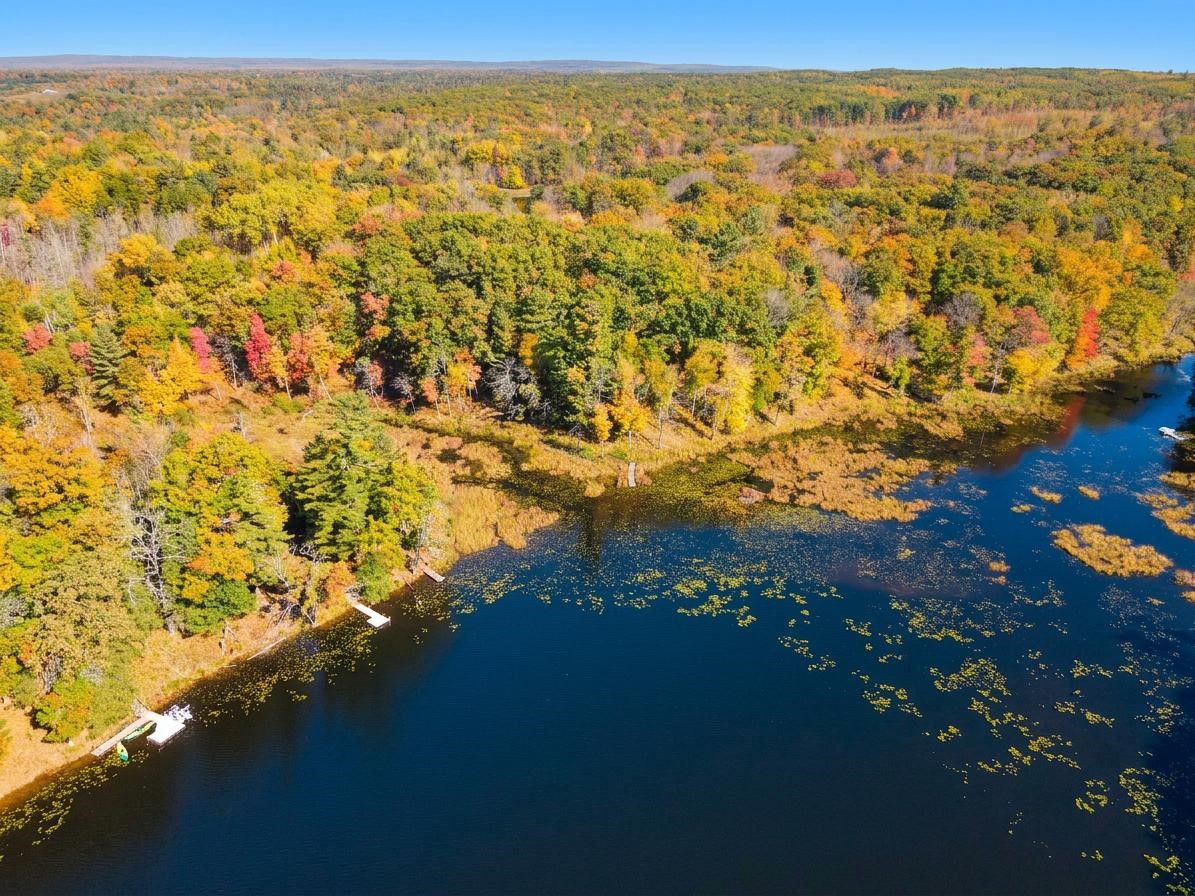 Lot 79 Loons Landing Road Property Photo 11