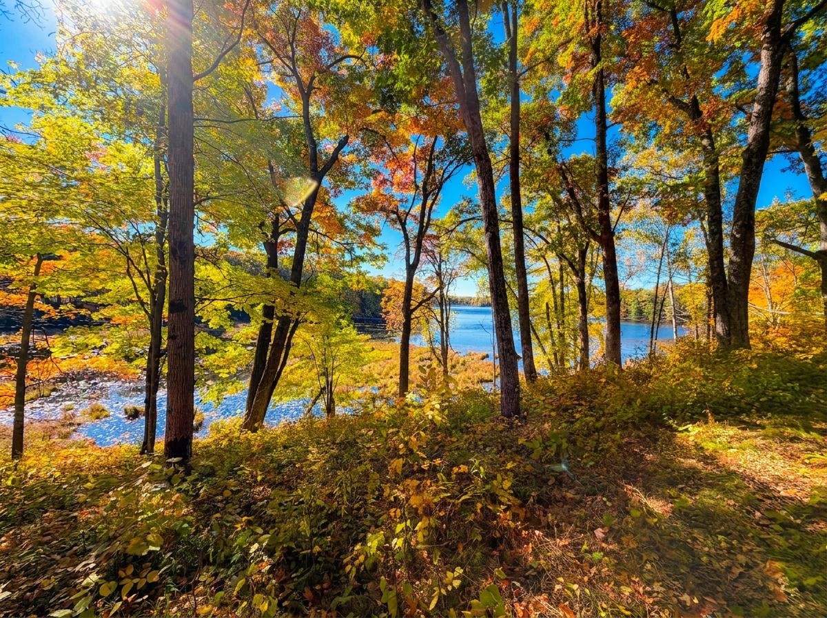 Lot 78, 79 Loons Landing Road Property Photo 6