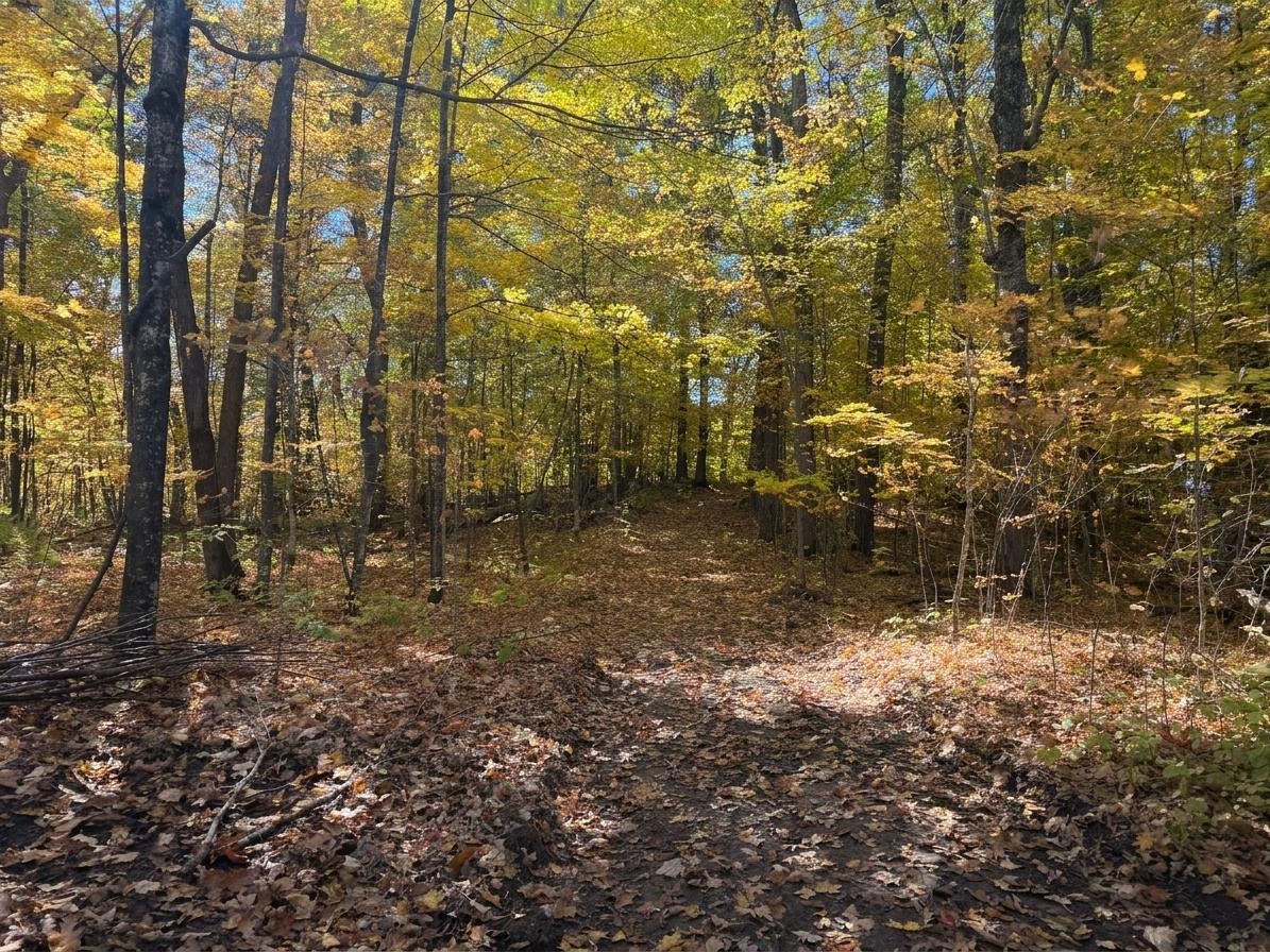 Lot 78, 79 Loons Landing Road Property Photo 7