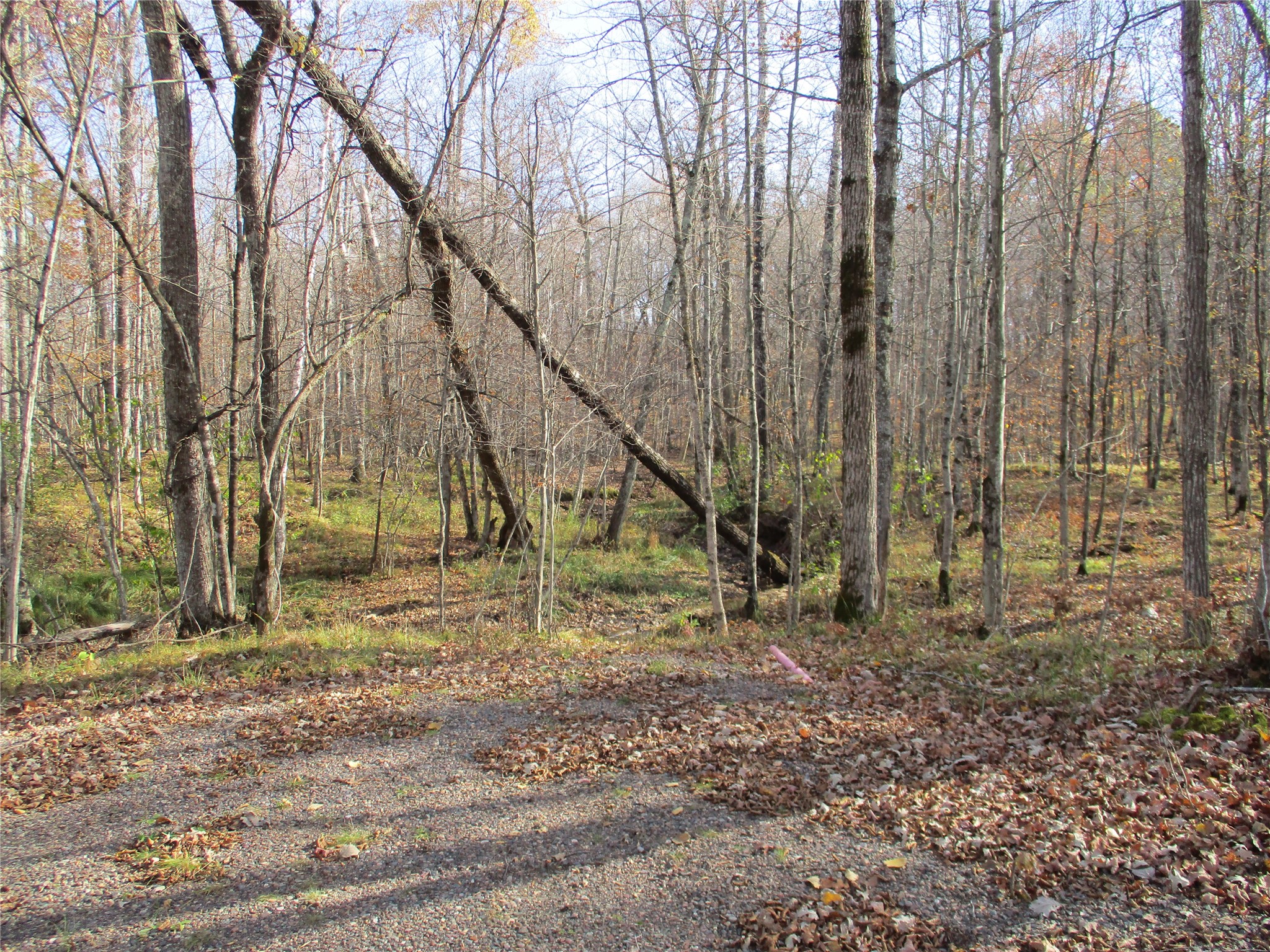 Lot #25 E Lakeshore Drive & 28 1/8 Street Property Photo 5
