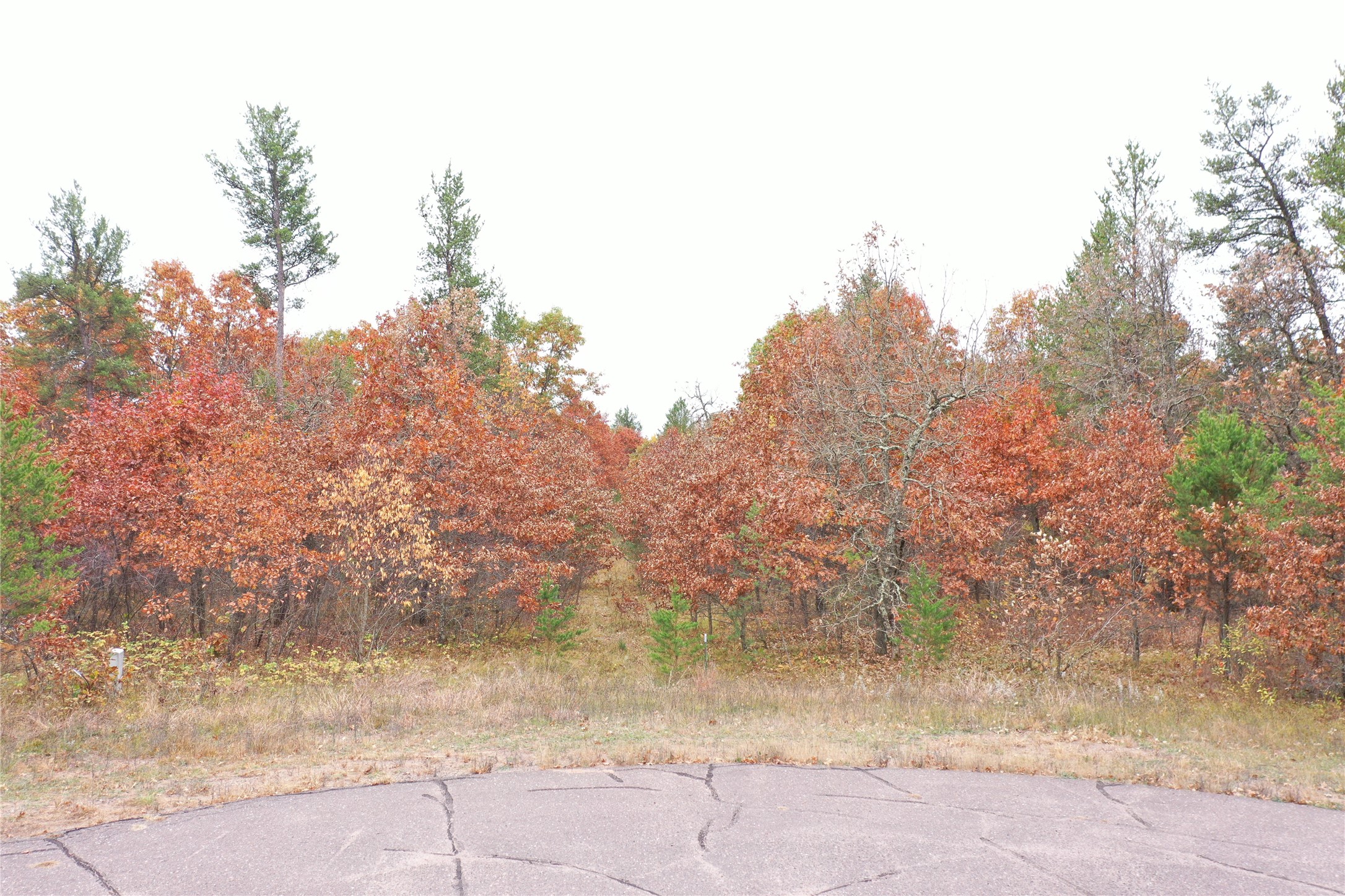 Xxx Volkmann Lane Property Photo 2