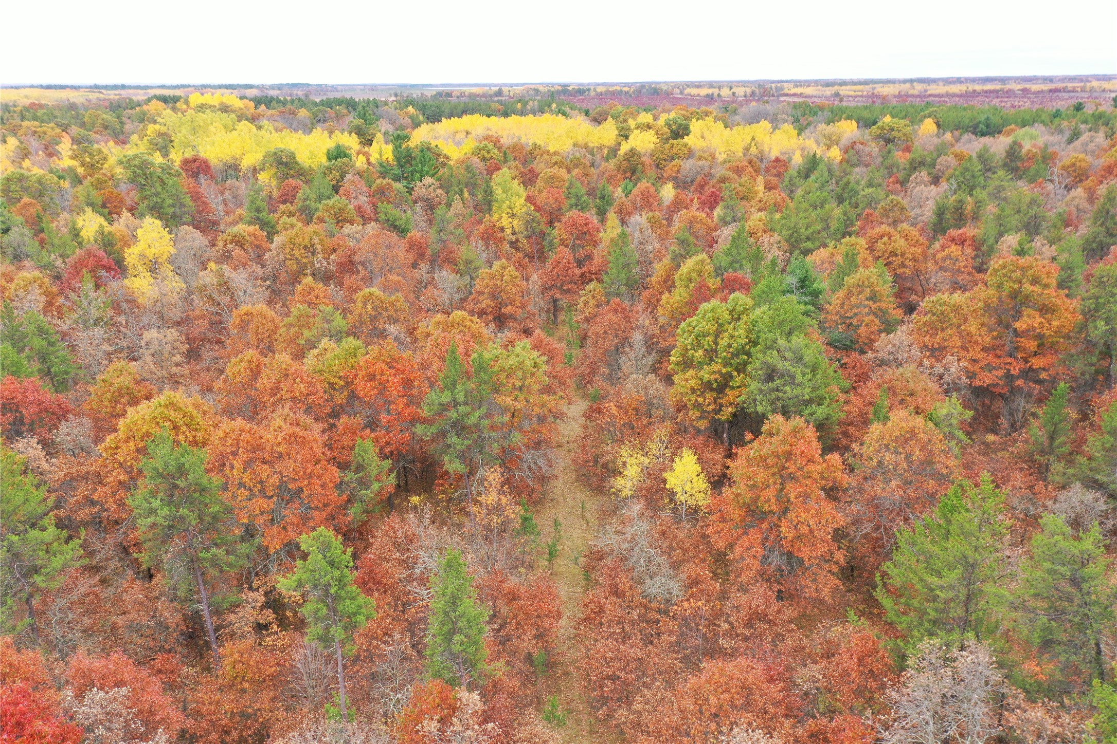 Xxx Volkmann Lane Property Photo 3