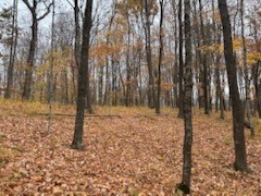 0 County Road D Property Photo 8