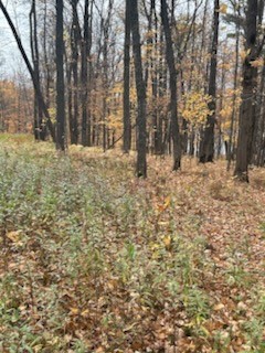 0 County Road D Property Photo 10